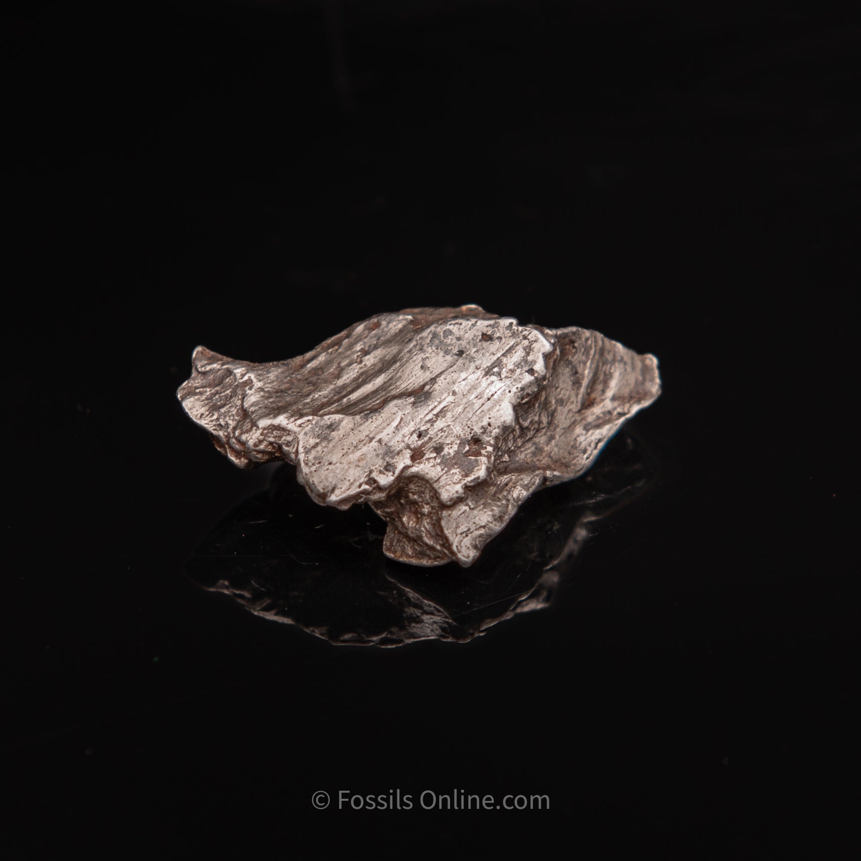 Sikhote-Alin Meteorite 25.7g