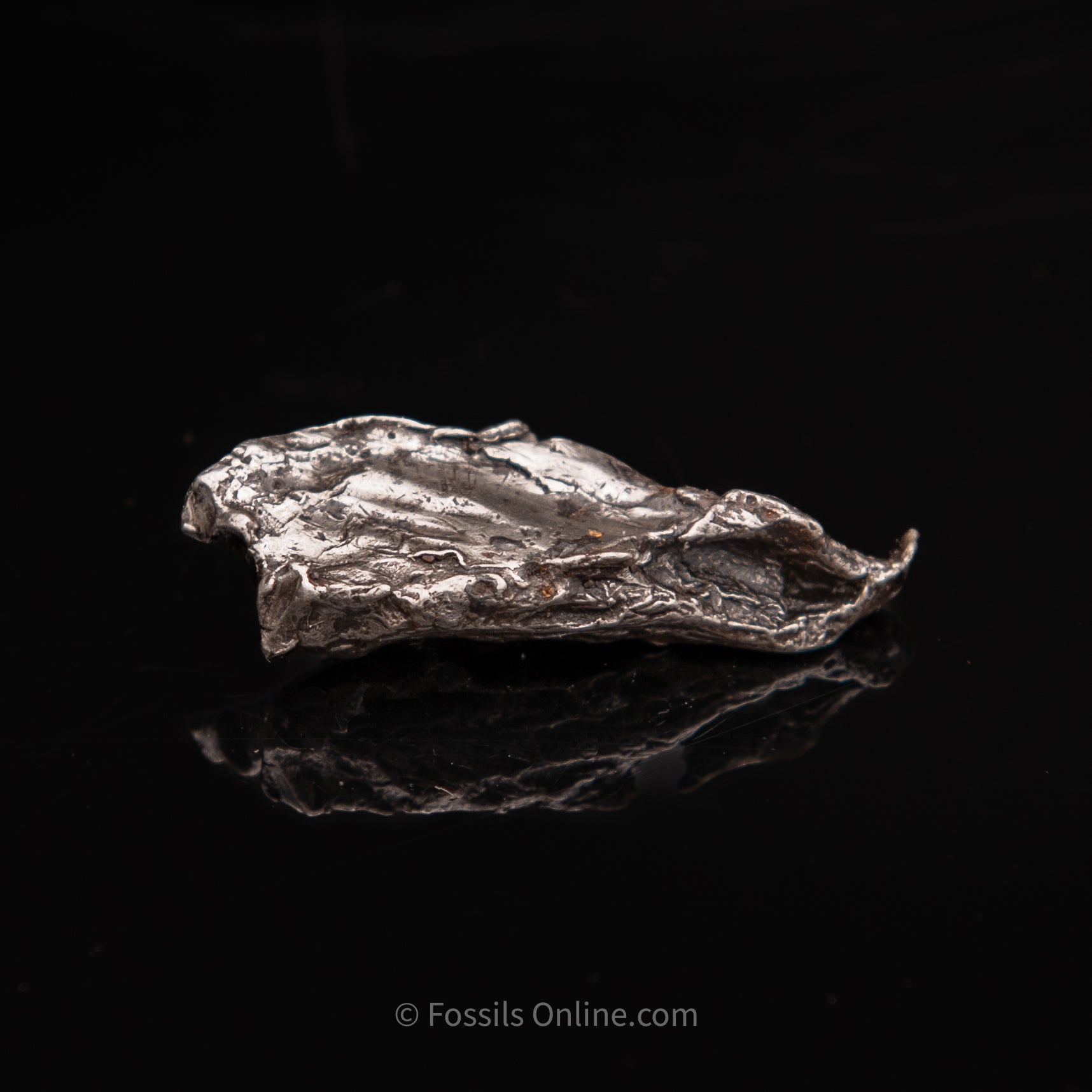 Sikhote-Alin Meteorite 18.3g