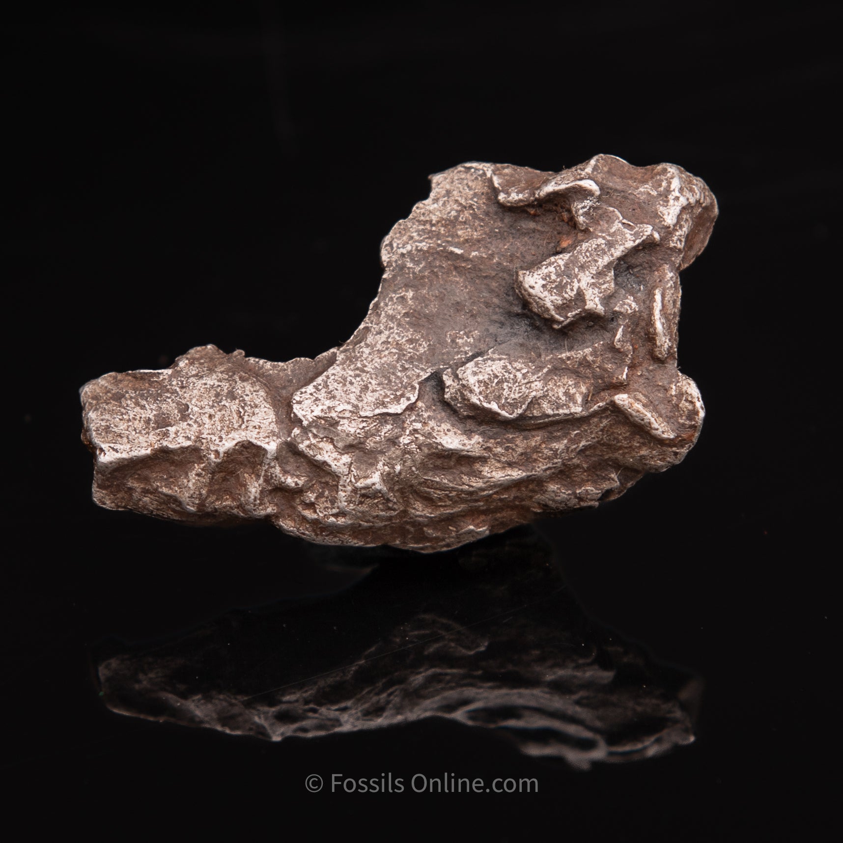 Sikhote-Alin Meteorite 44.8g