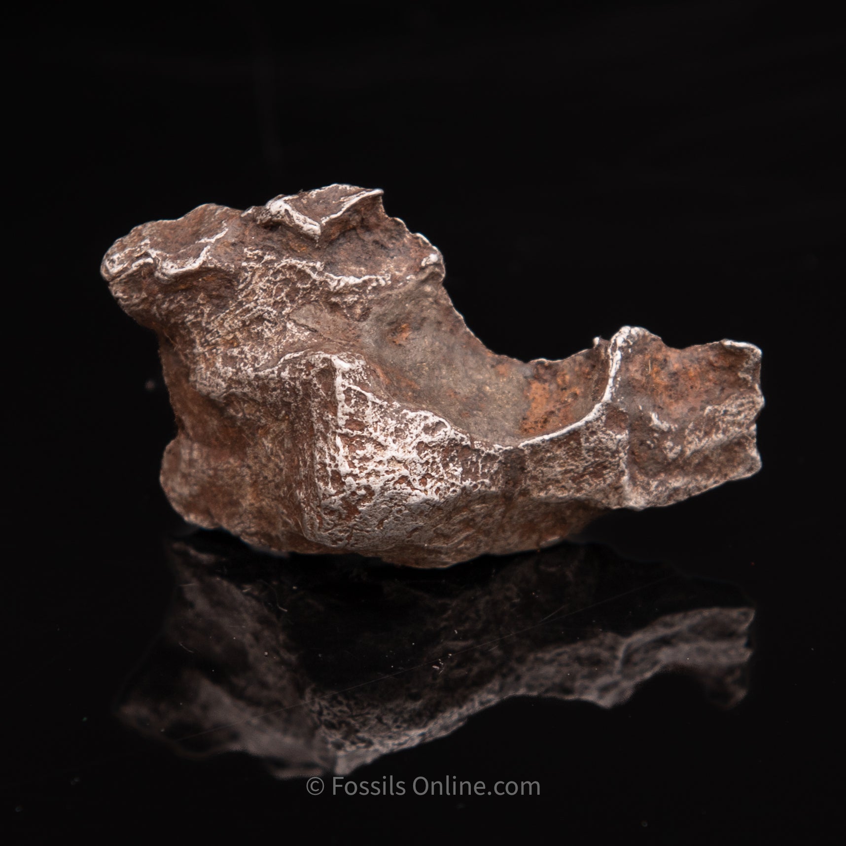 Sikhote-Alin Meteorite 44.8g