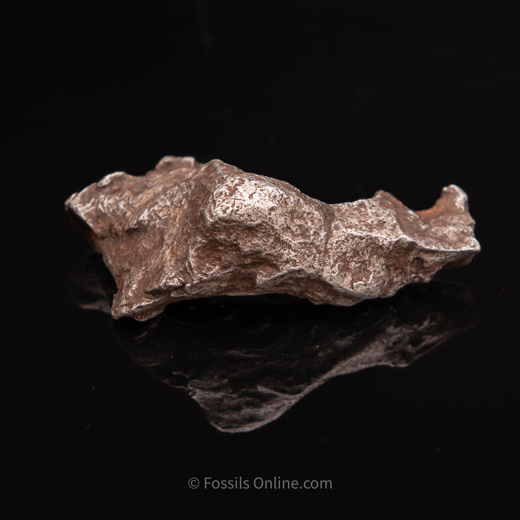 Sikhote-Alin Meteorite 44.8g