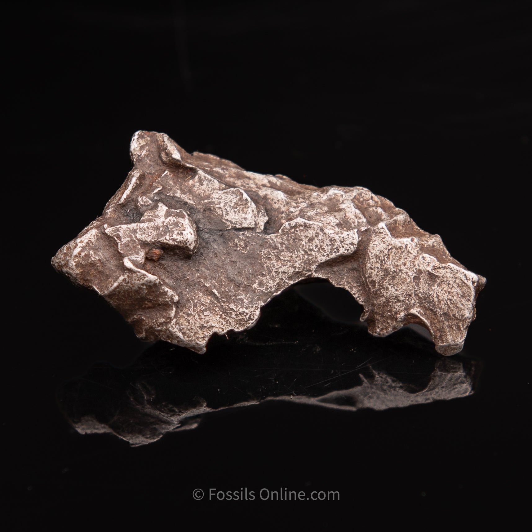 Sikhote-Alin Meteorite 44.8g