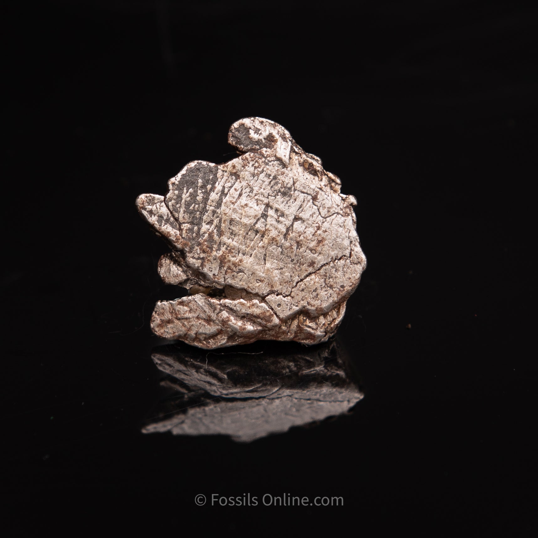 Aletai Meteorite 17.3g
