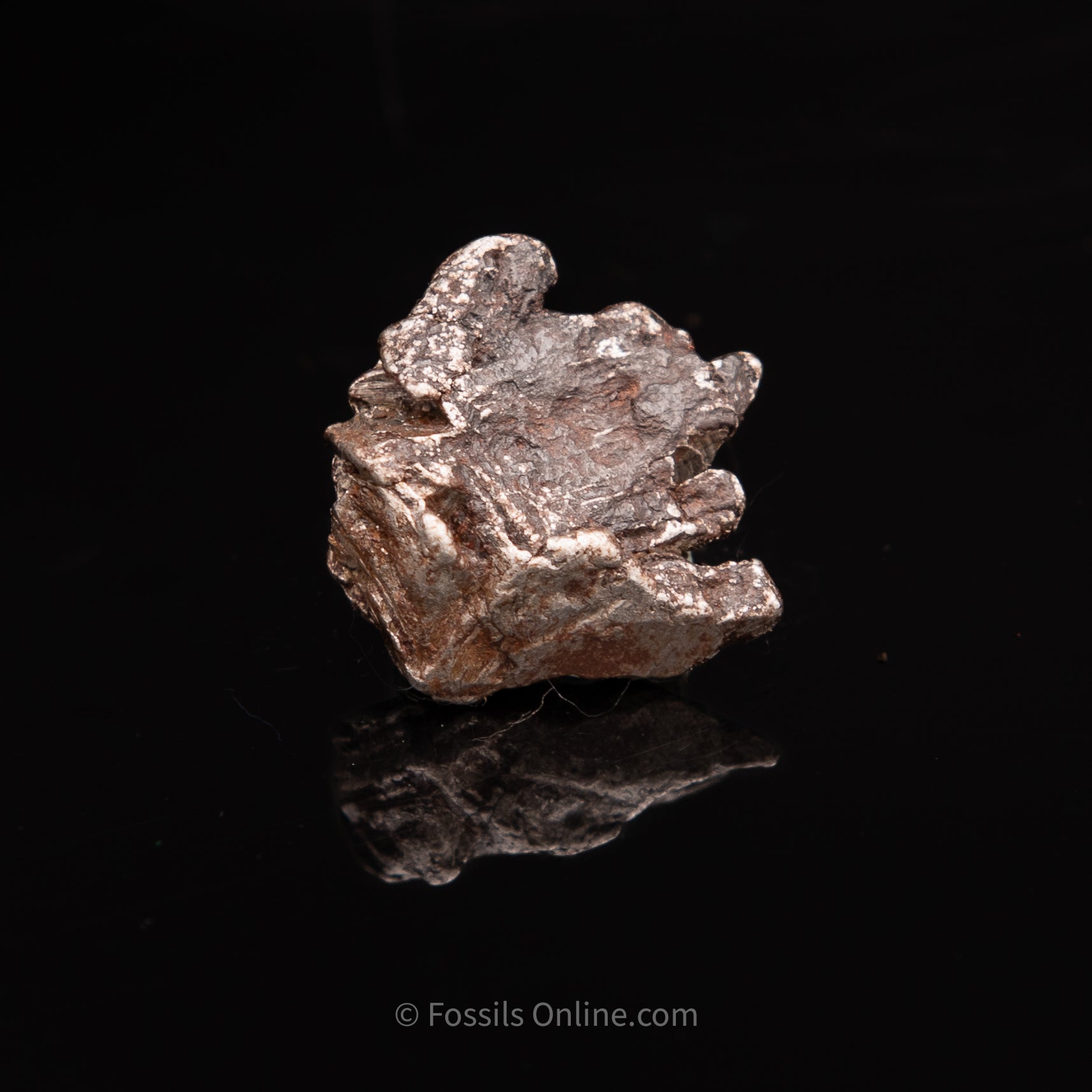 Aletai Meteorite 17.3g