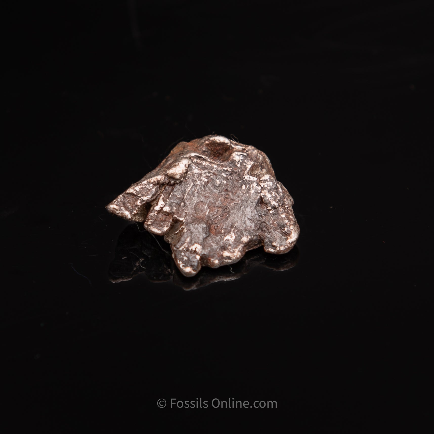 Aletai Meteorite 17.3g