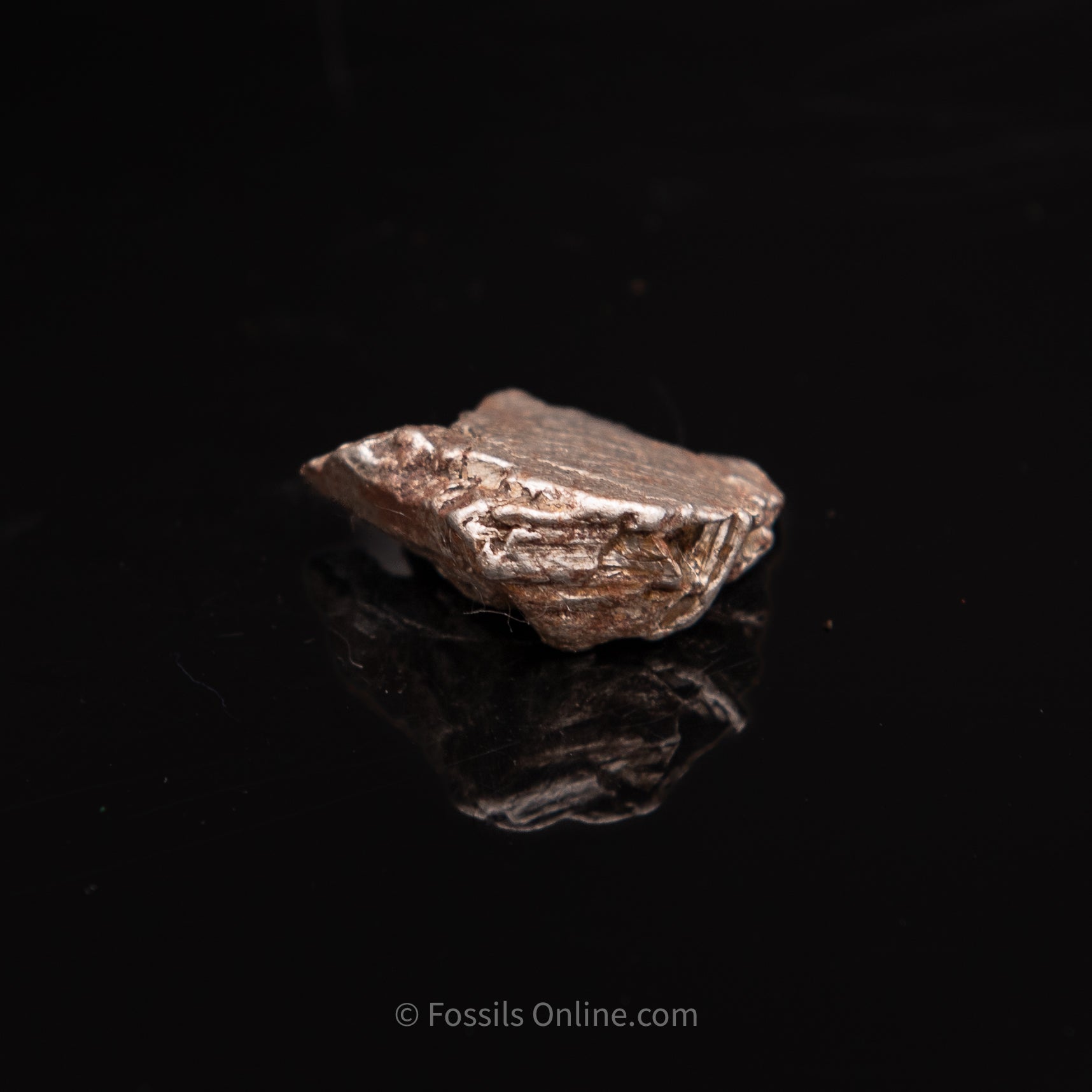 Aletai Meteorite 17.3g