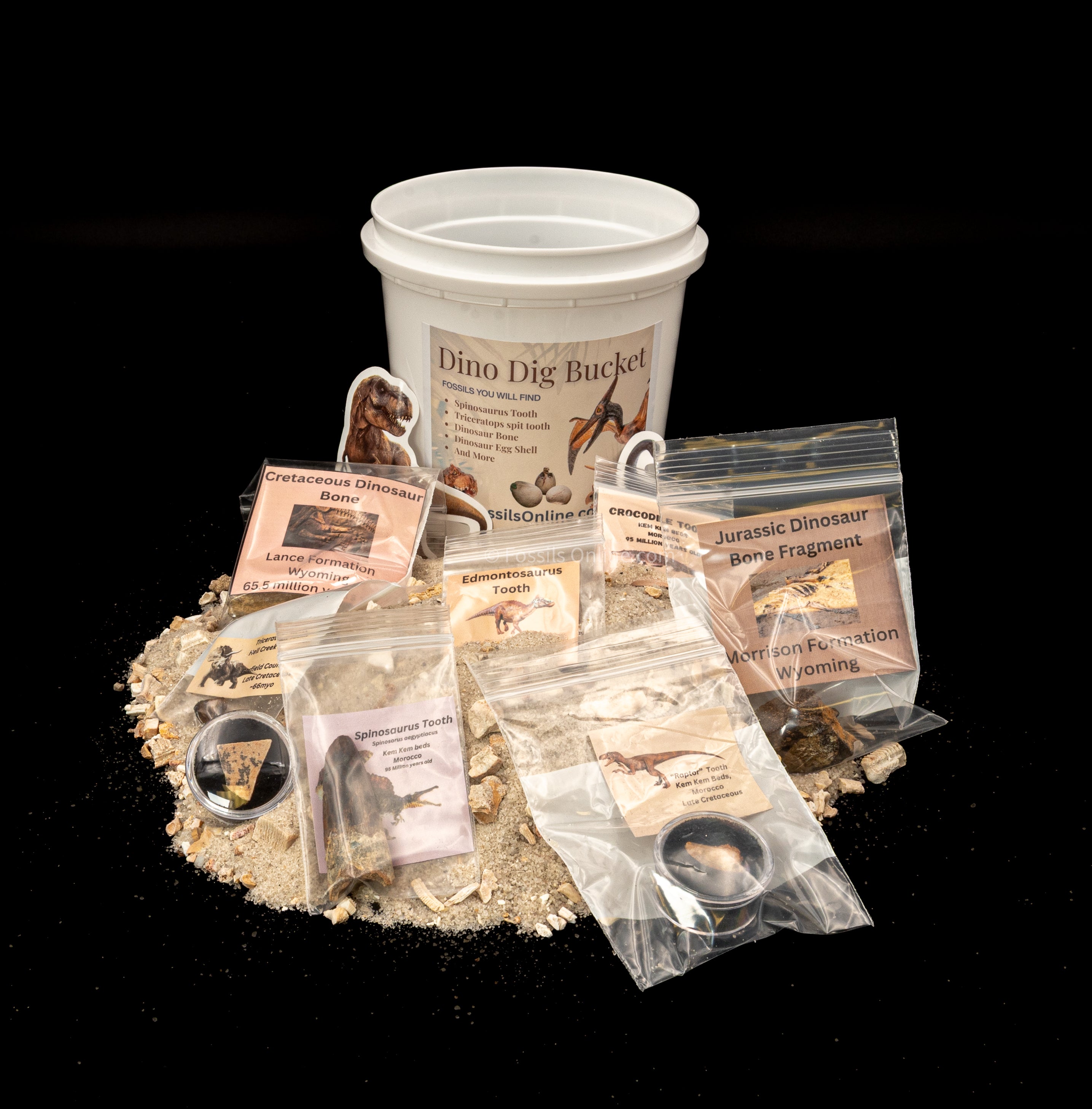 Dino Dig Bucket