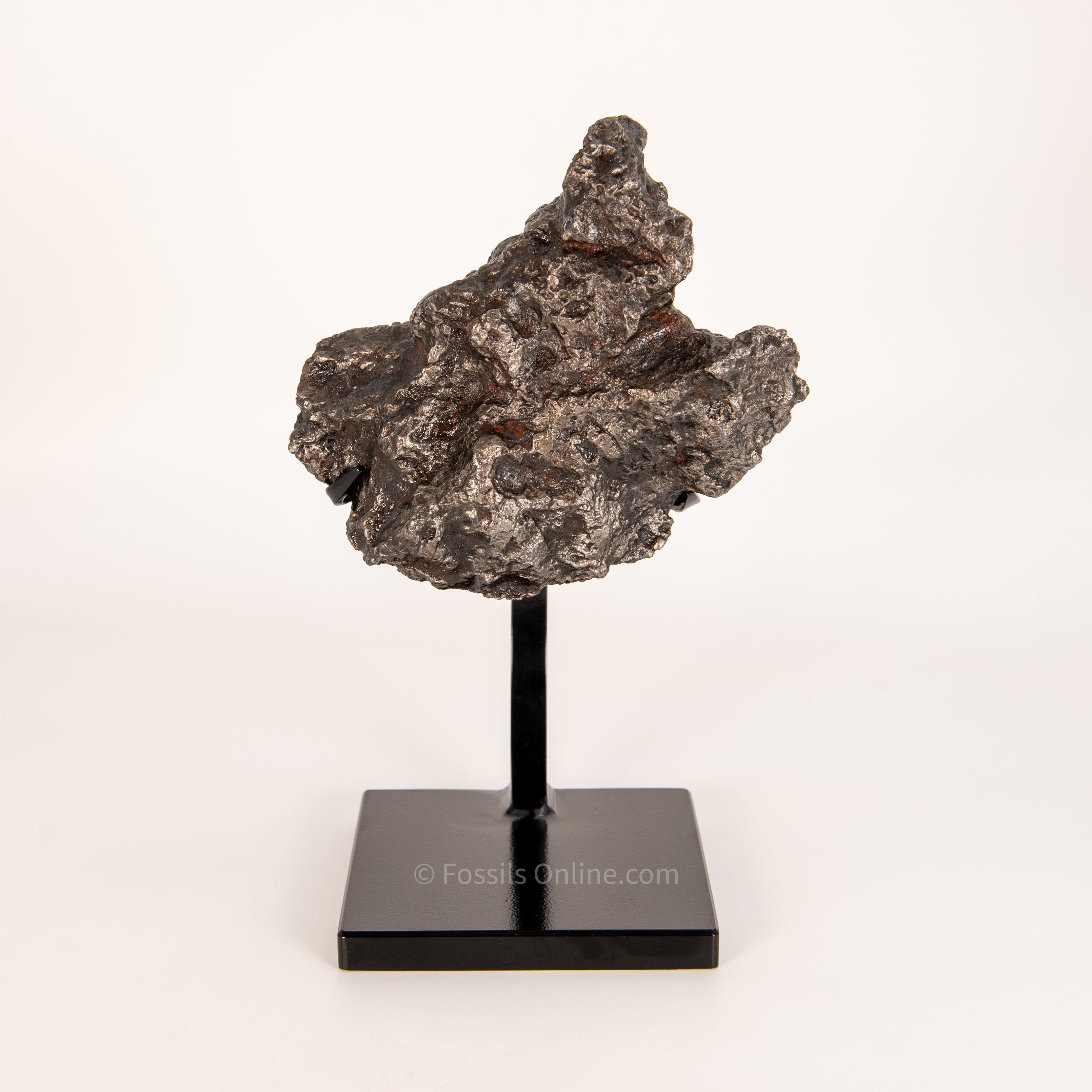 Campo del Cielo Meteorite 3125g