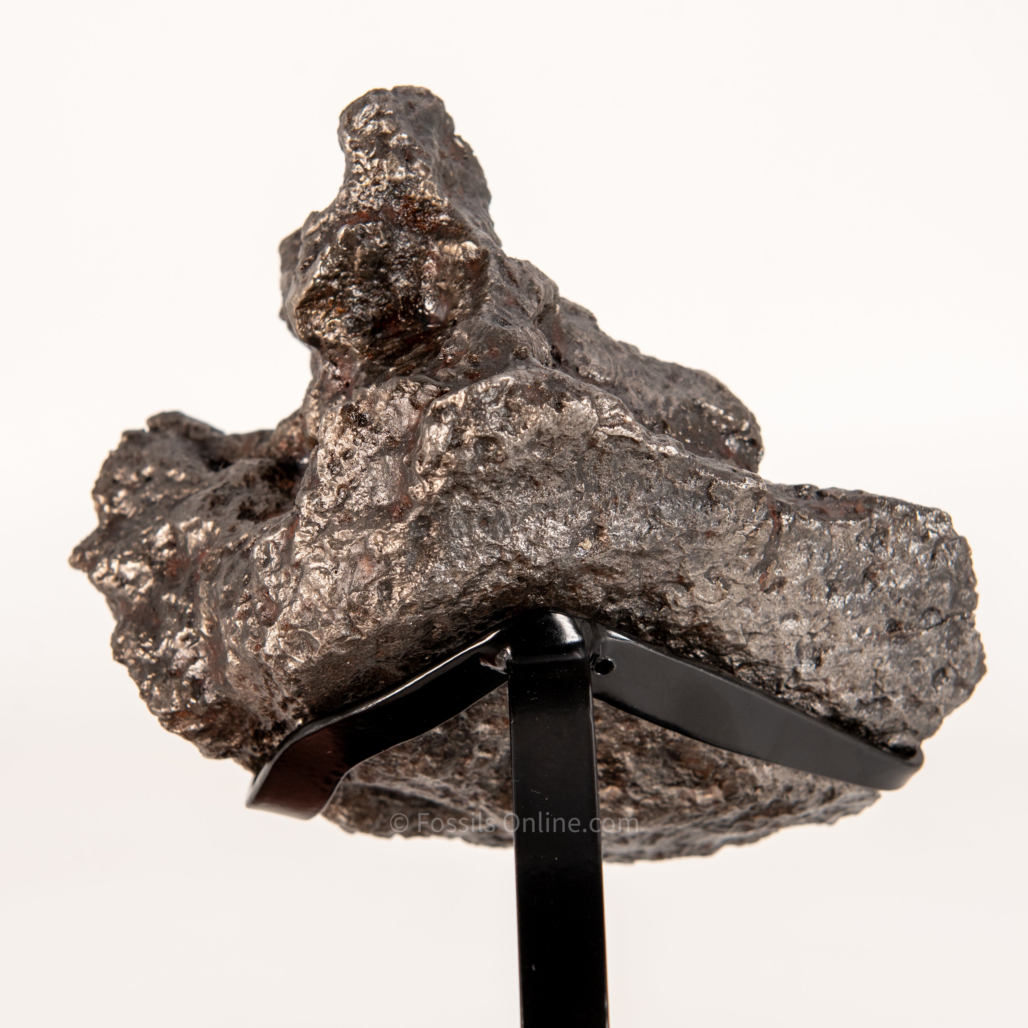 Campo del Cielo Meteorite 3125g