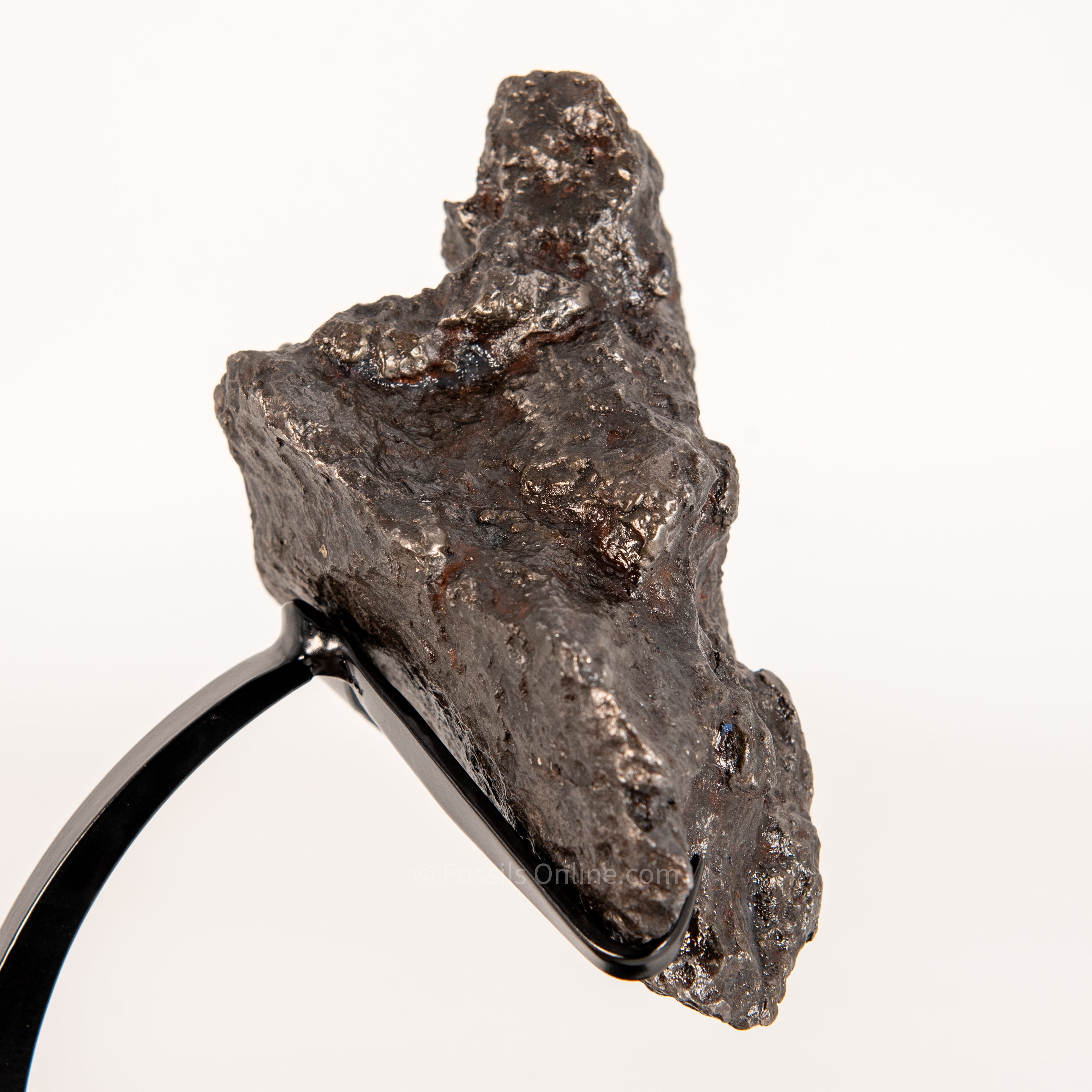 Campo del Cielo Meteorite 3125g