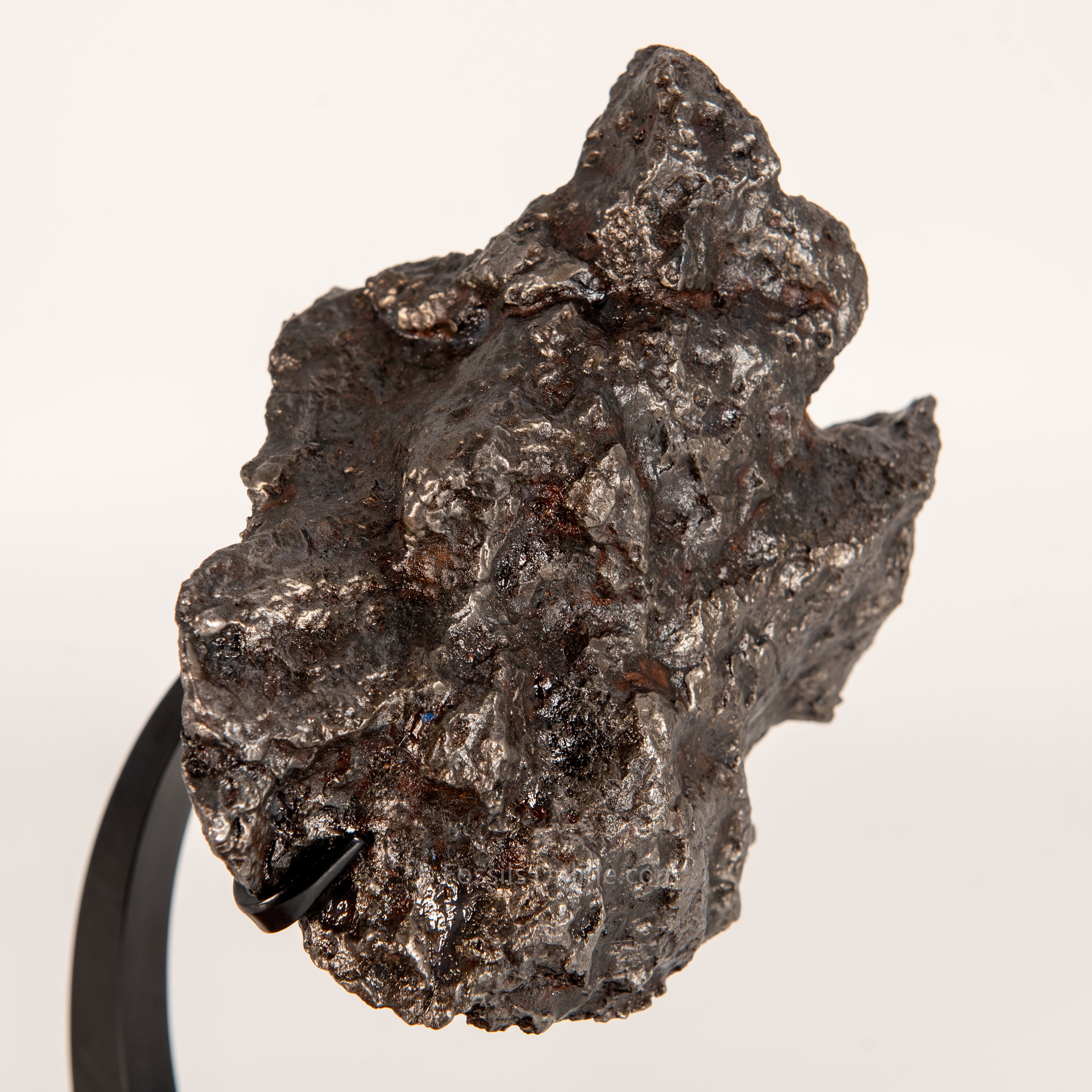 Campo del Cielo Meteorite 3125g