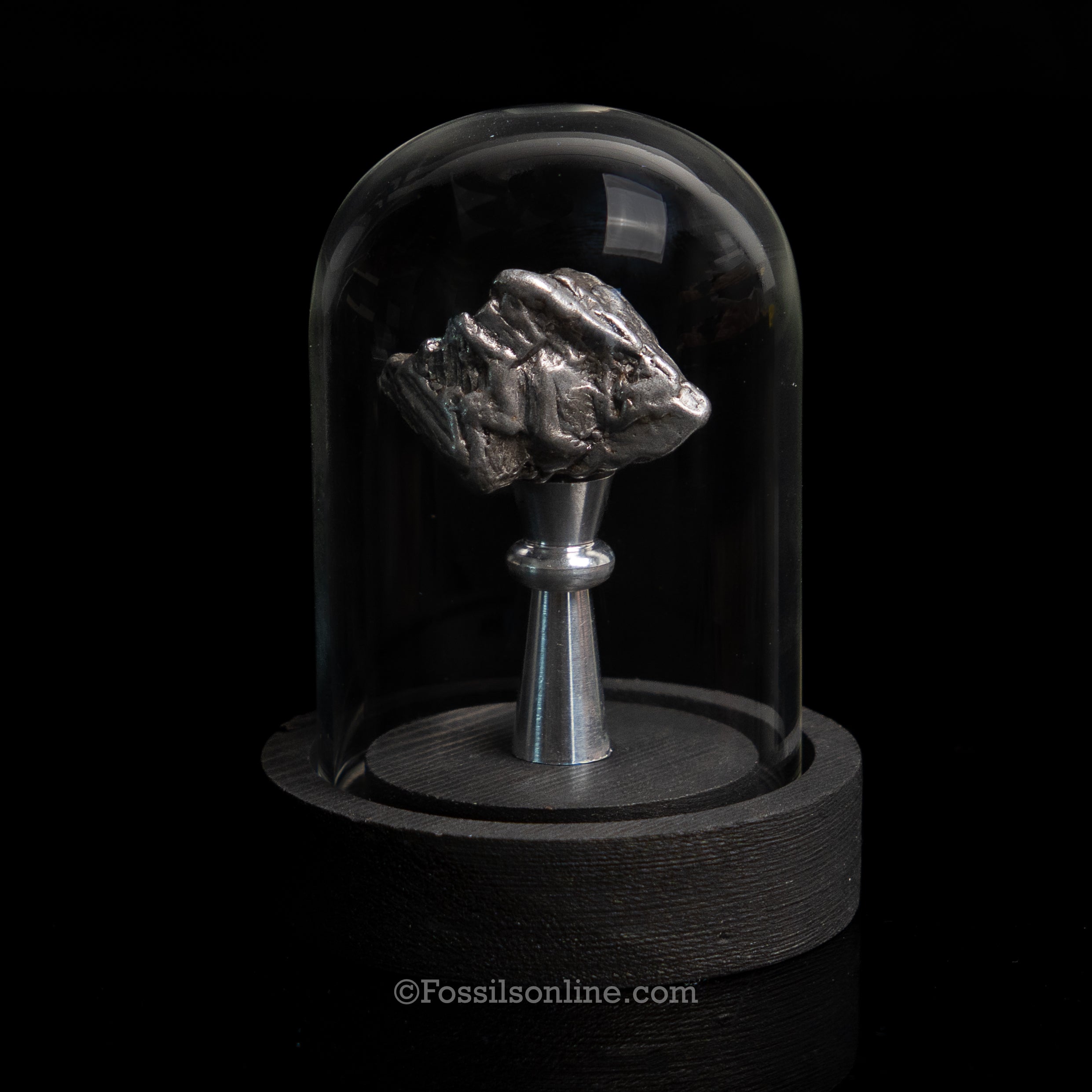 GENUINE Aletai Meteorite in a glass dome