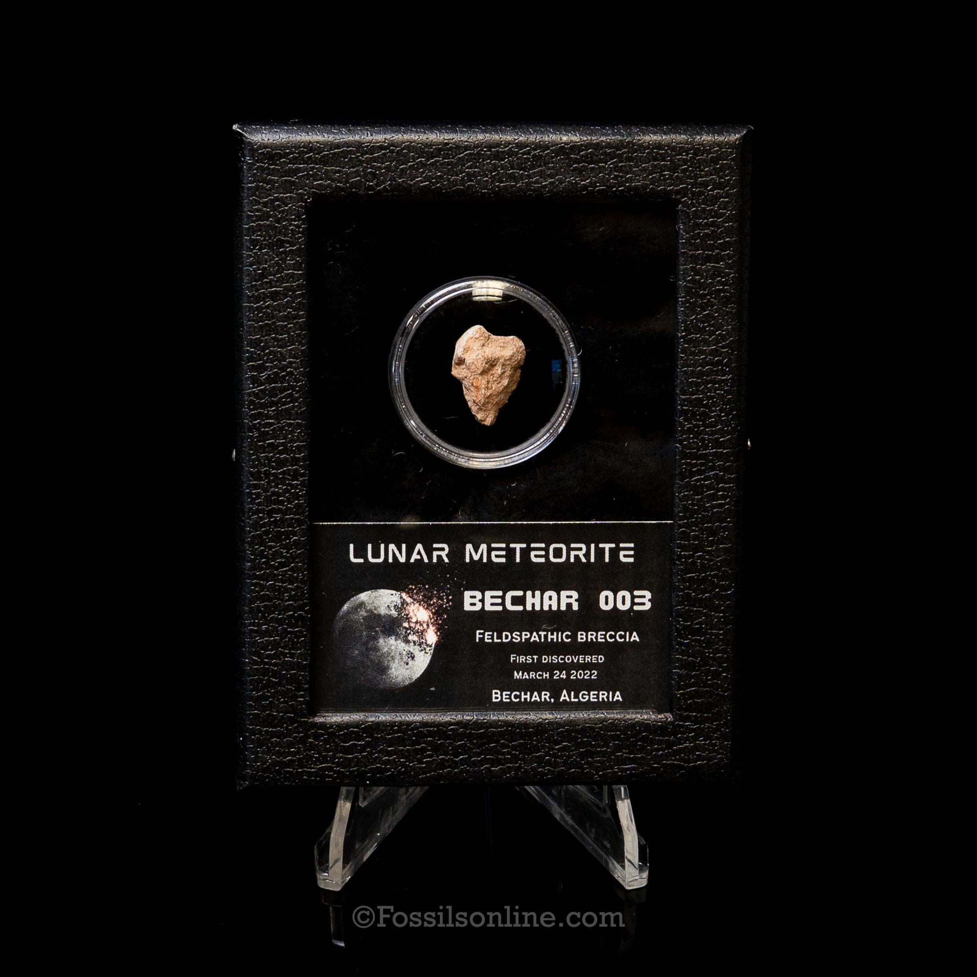 Bechar 003 Lunar Meteorite