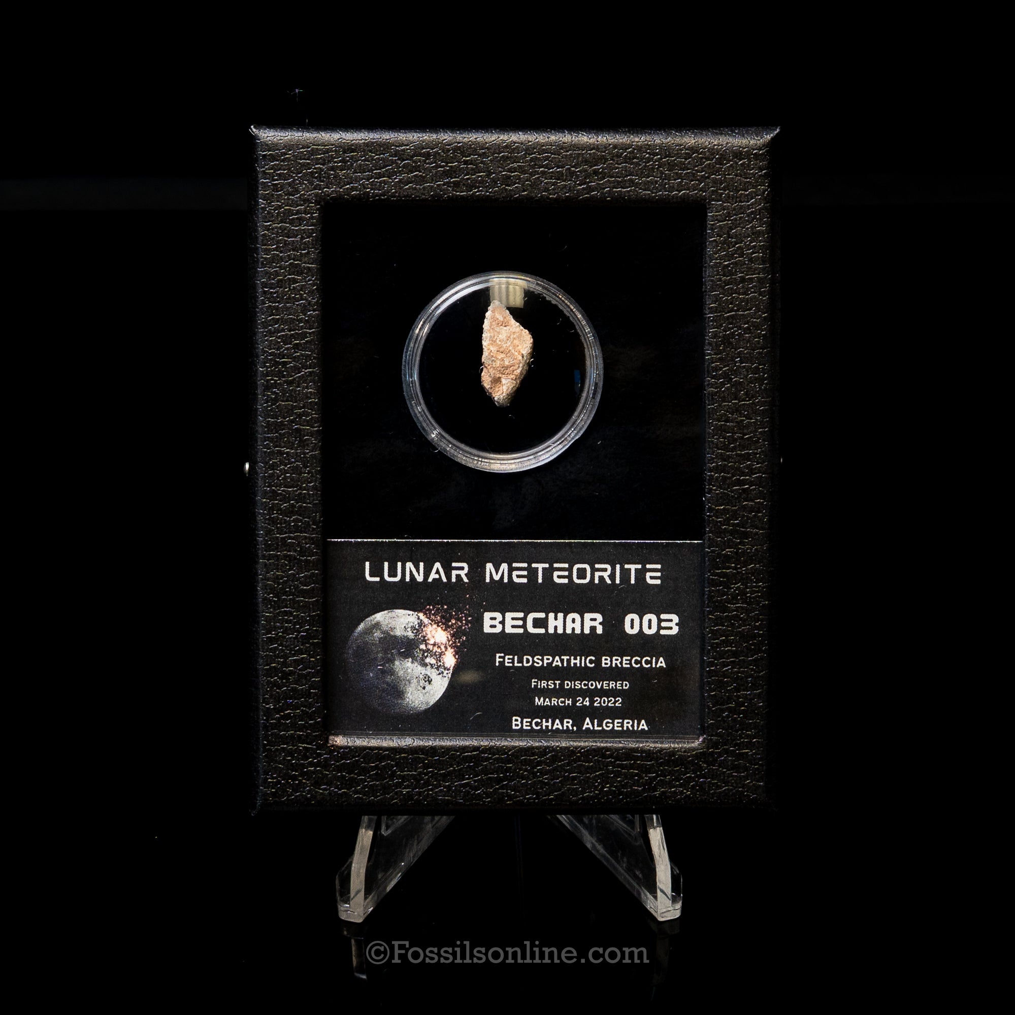 Bechar 003 Lunar Meteorite