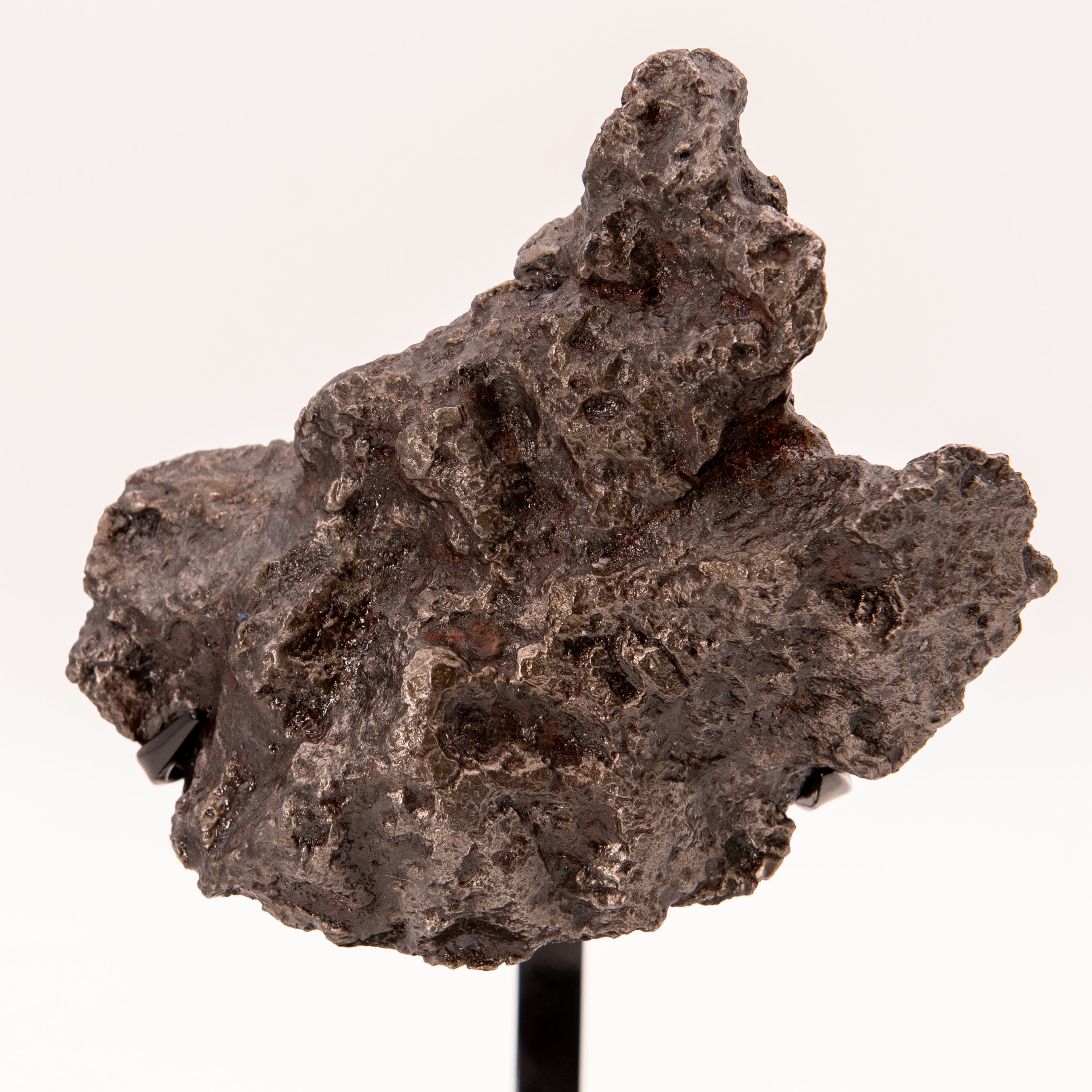 Campo del Cielo Meteorite 3125g