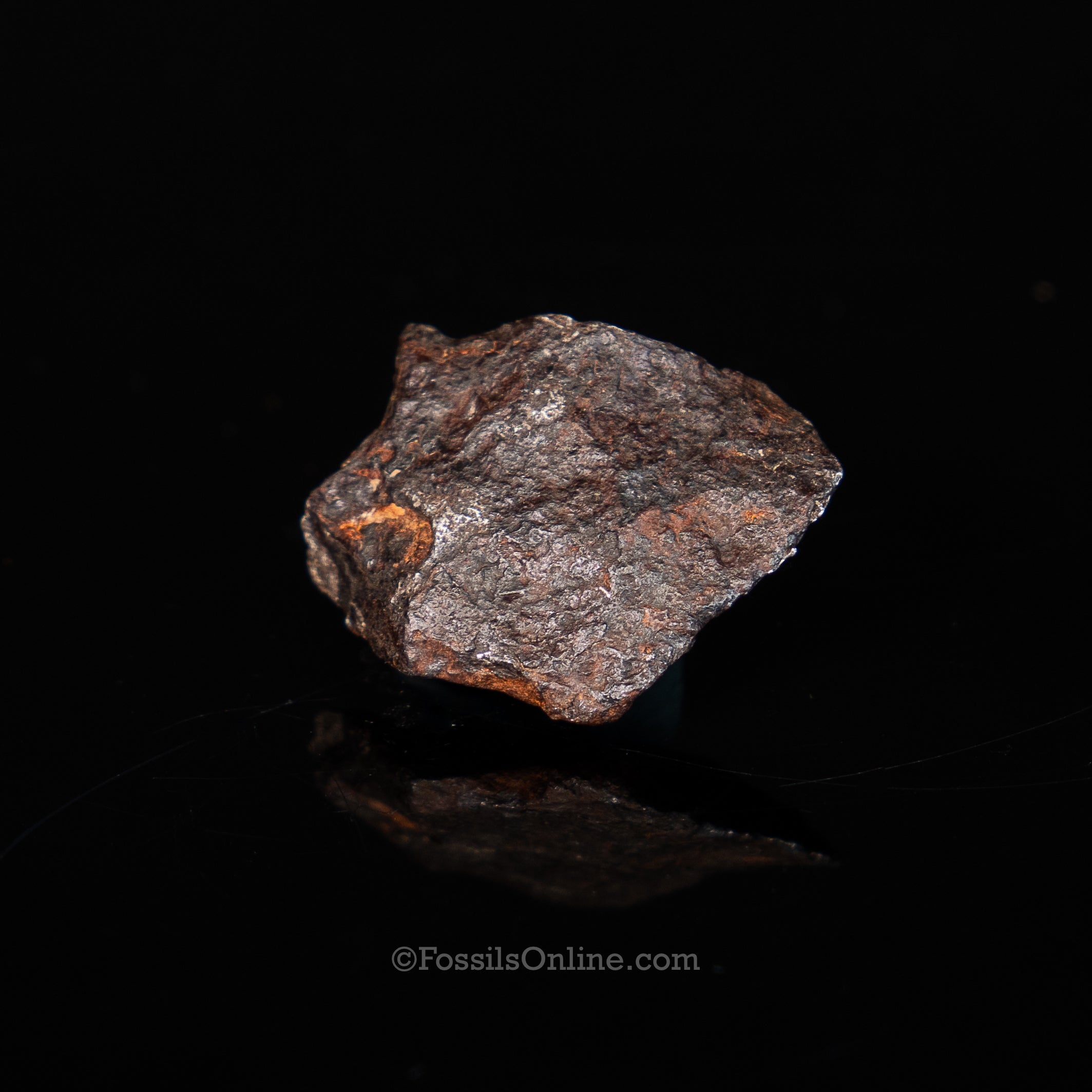 Canyon Diablo Meteorite in a dome