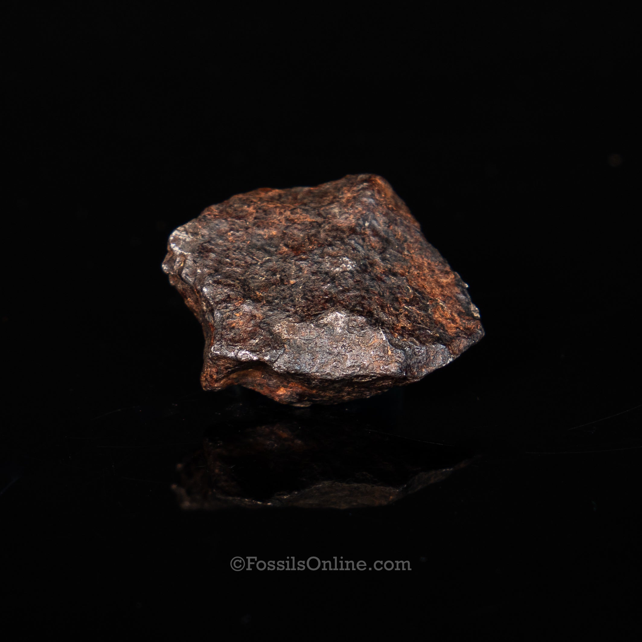 Canyon Diablo Meteorite in a dome