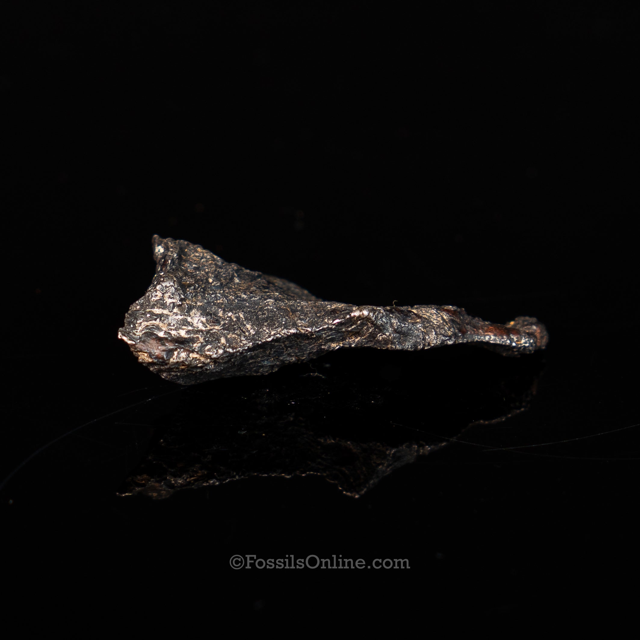 Canyon Diablo Meteorite in a dome
