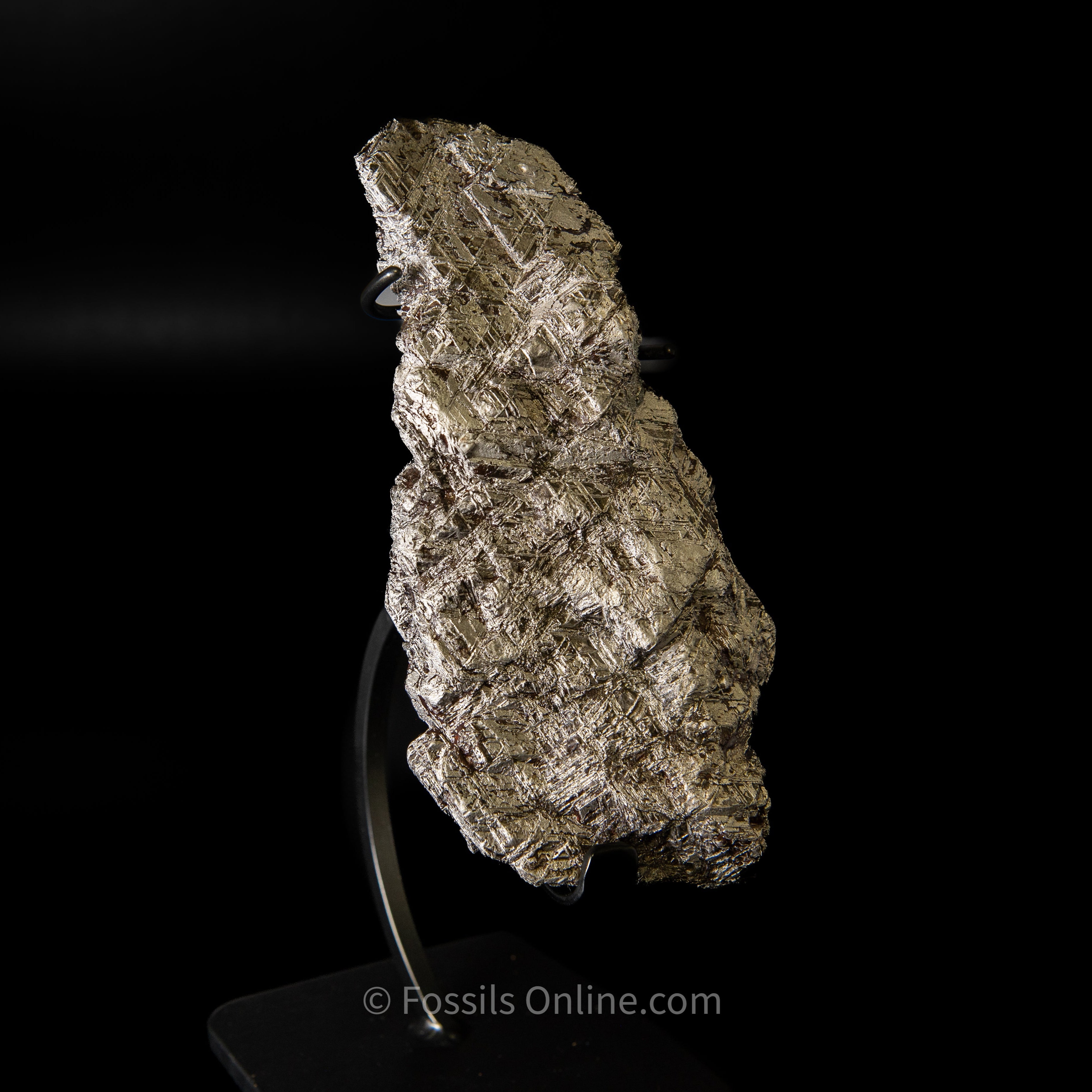 Muonionalusta Meteorite 1980g