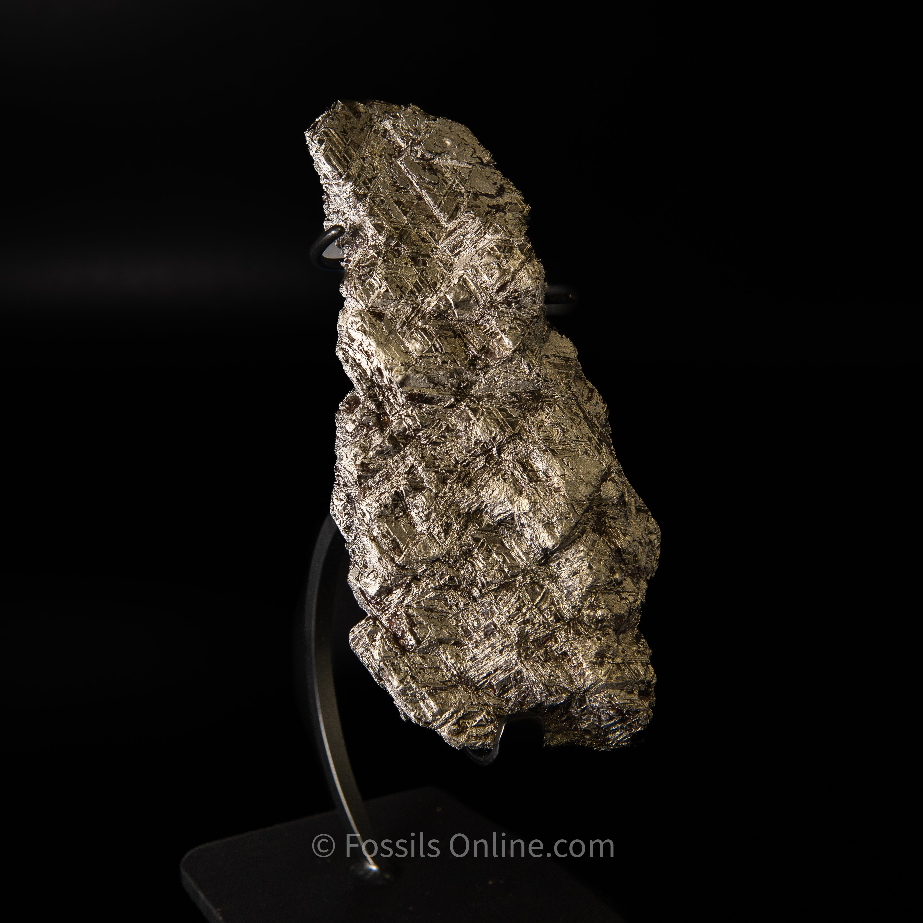 Muonionalusta Meteorite 1980g