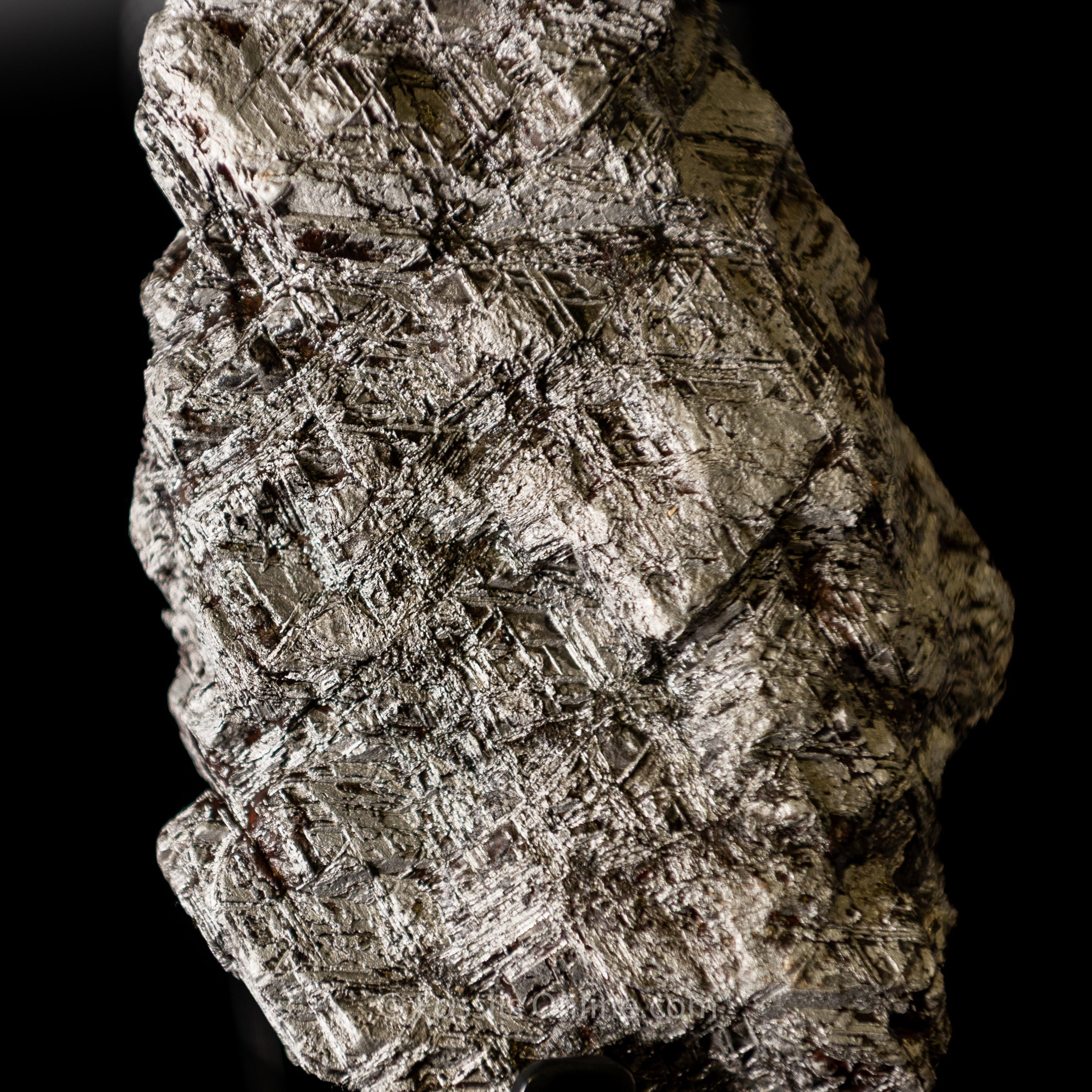 Muonionalusta Meteorite 1980g