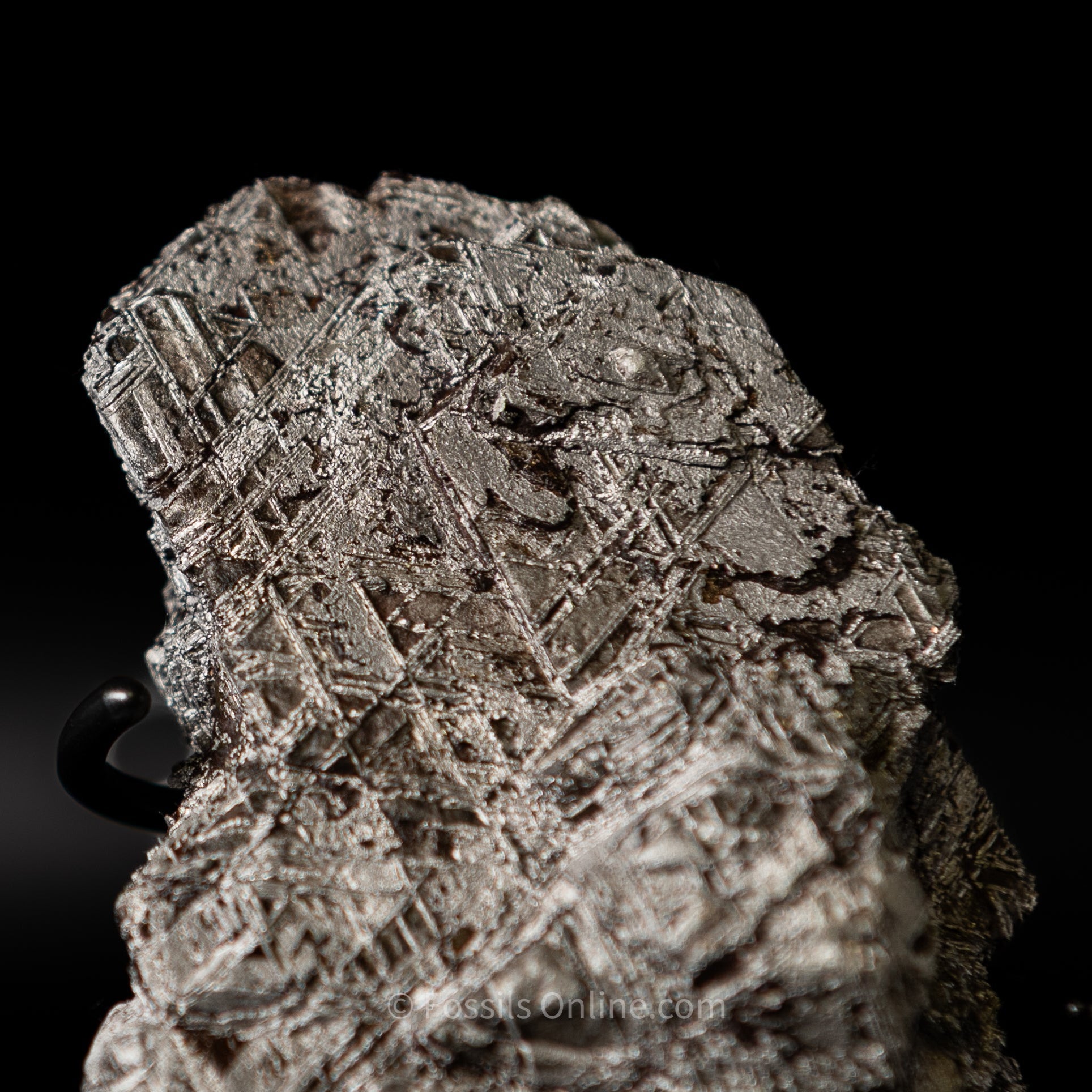 Muonionalusta Meteorite 1980g
