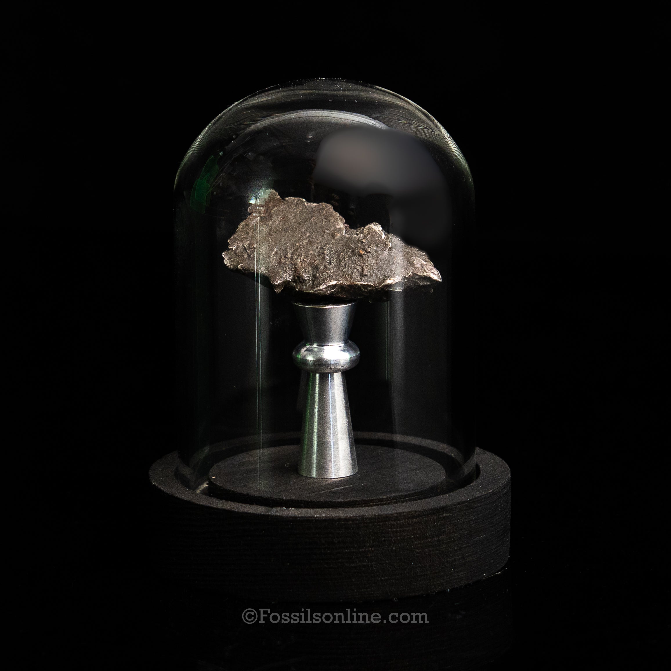Genuine Sikhote-Alin Meteorite in Glass Dome