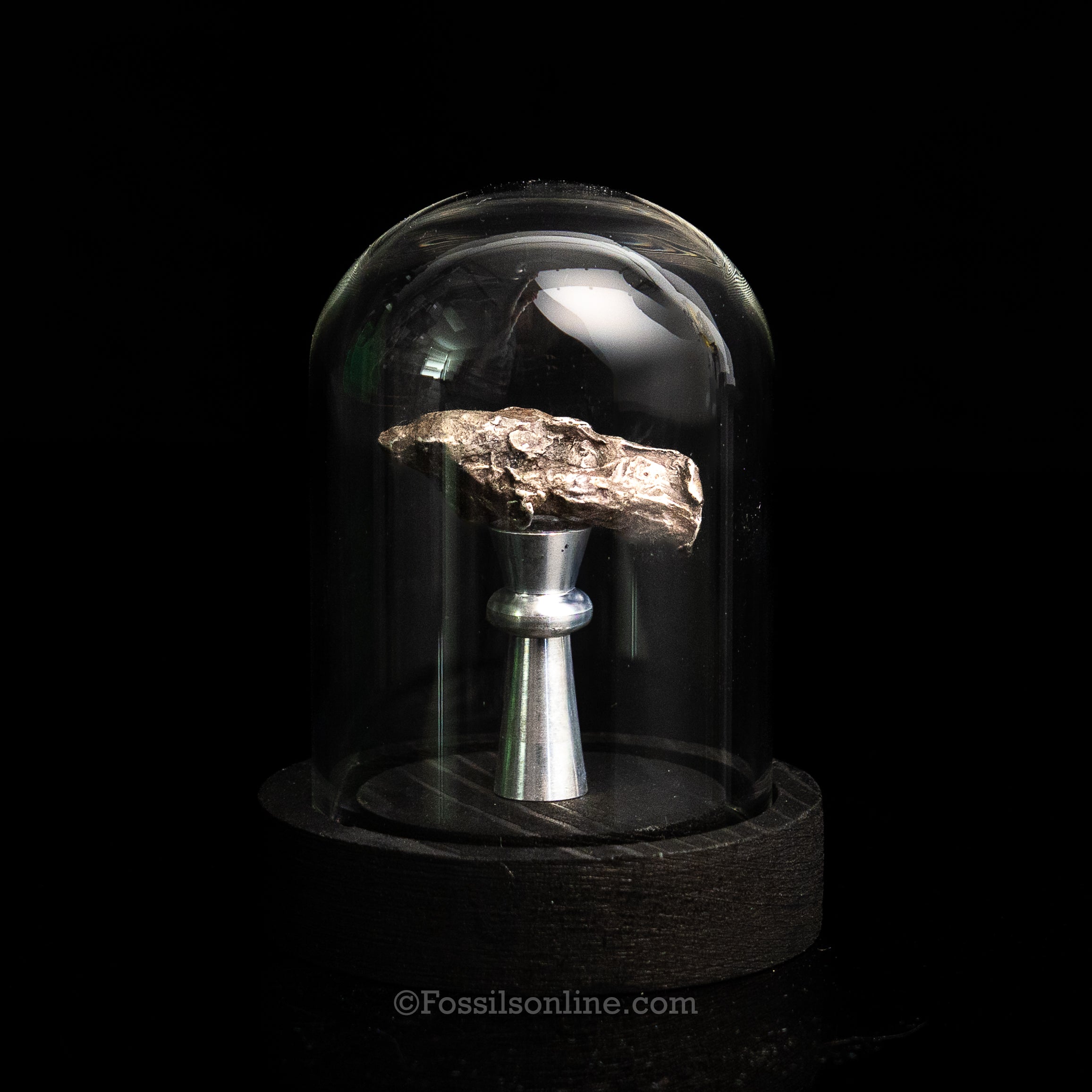 Genuine Sikhote-Alin Meteorite in Glass Dome