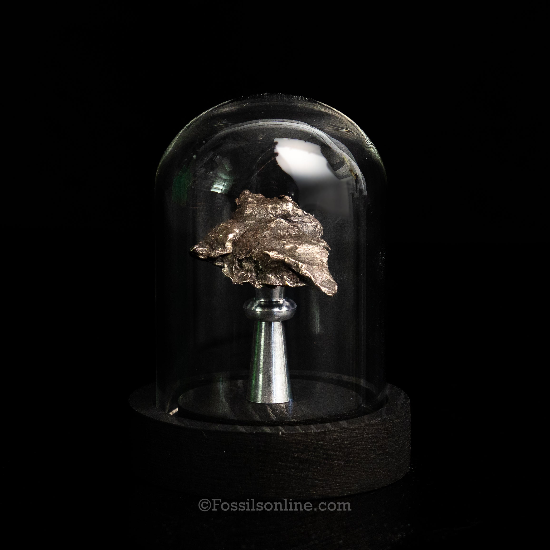 Genuine Sikhote-Alin Meteorite in Glass Dome