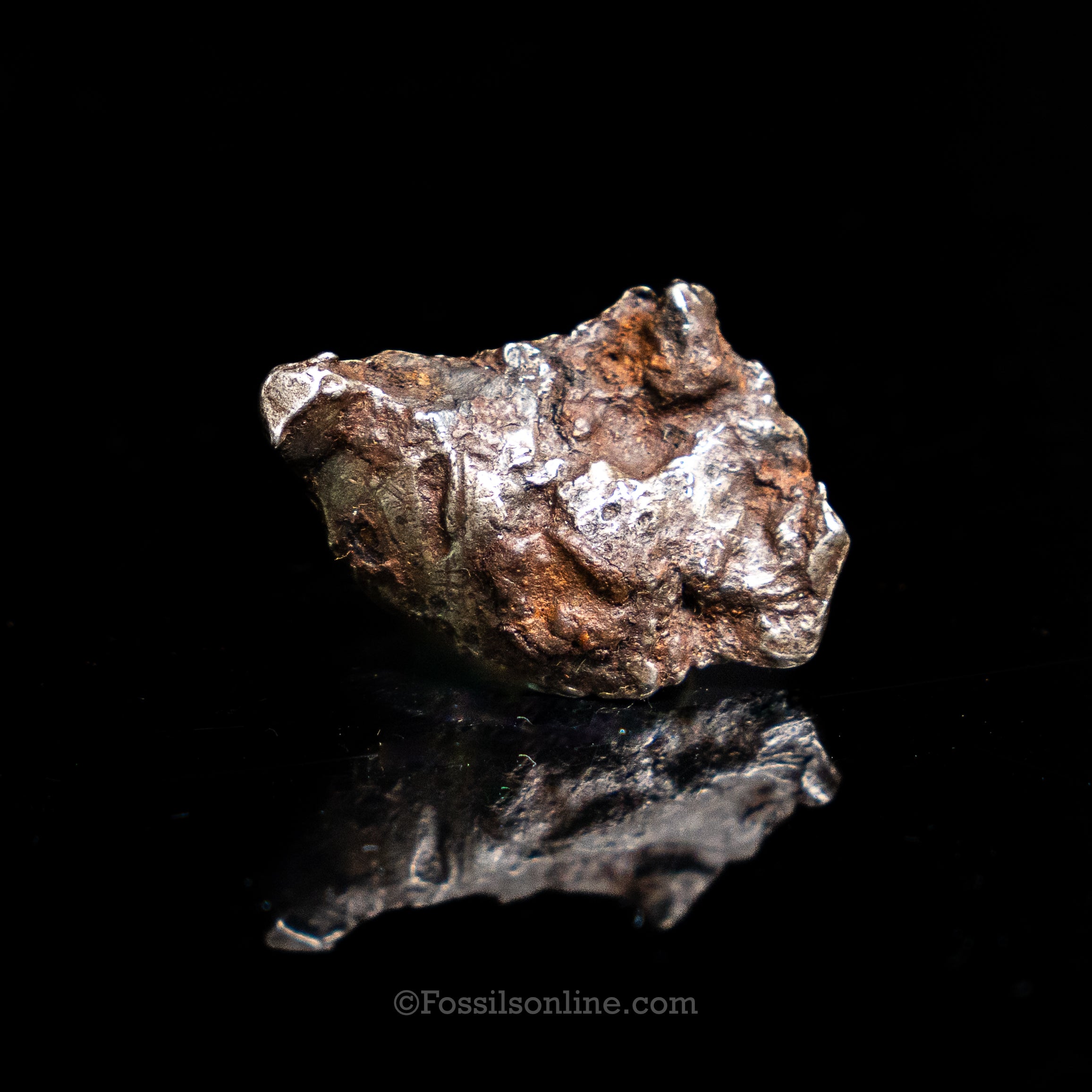 Genuine Sikhote-Alin Meteorite in Glass Dome