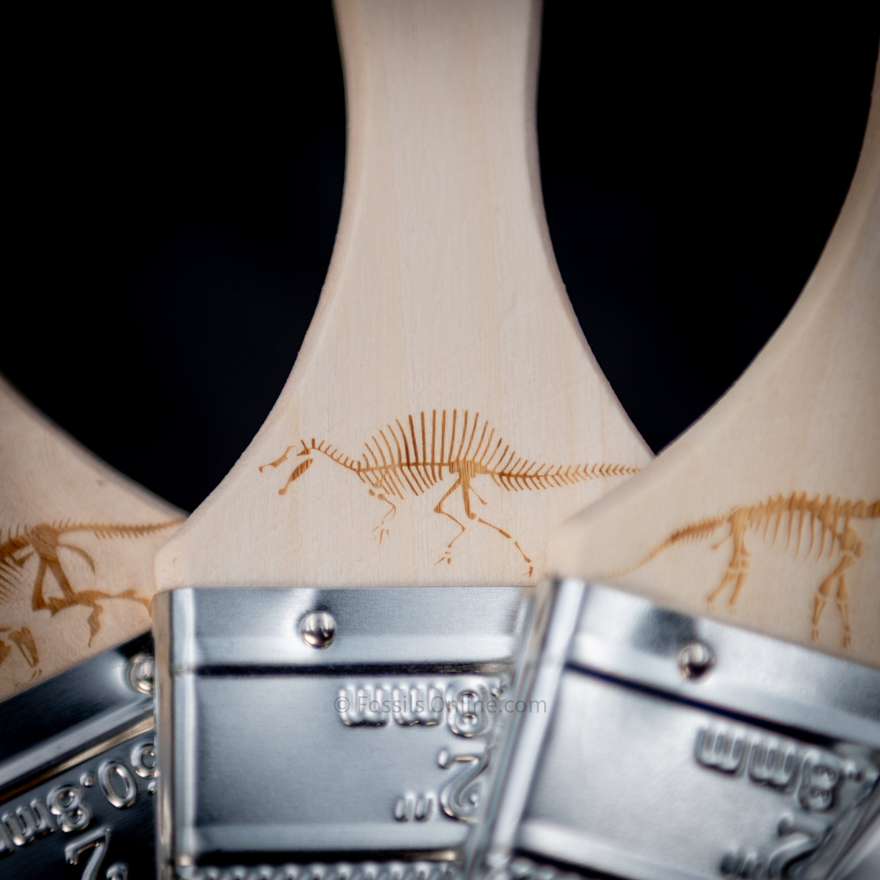 Engraved Dinosaur Fossil Digging Brushes