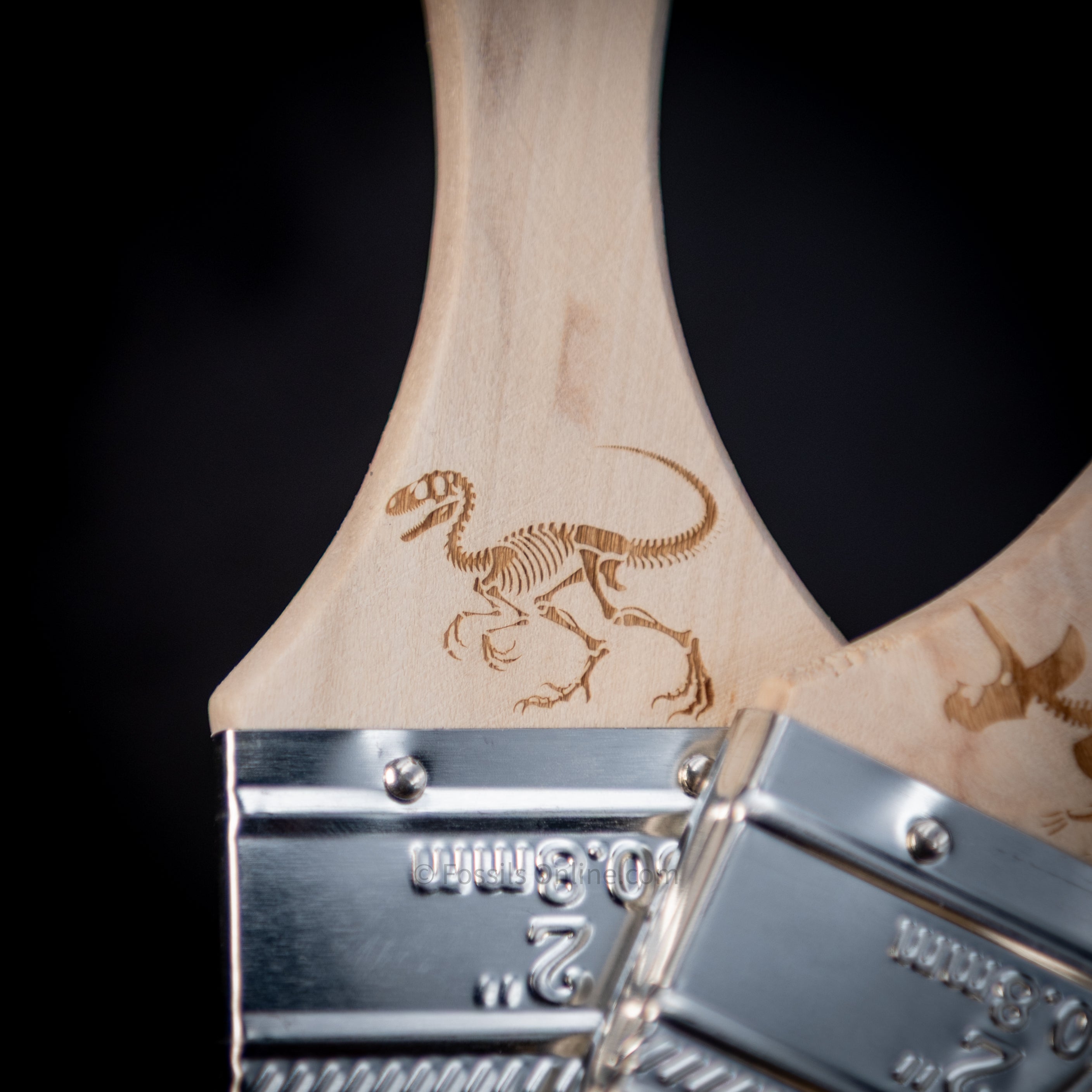 Engraved Dinosaur Fossil Digging Brushes