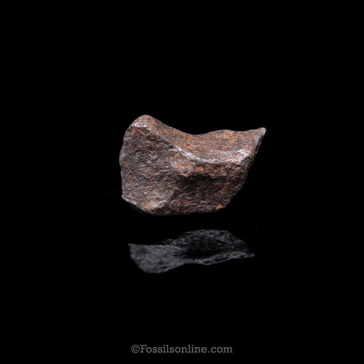 Genuine Canyon Diablo Meteorite in Glass Dome