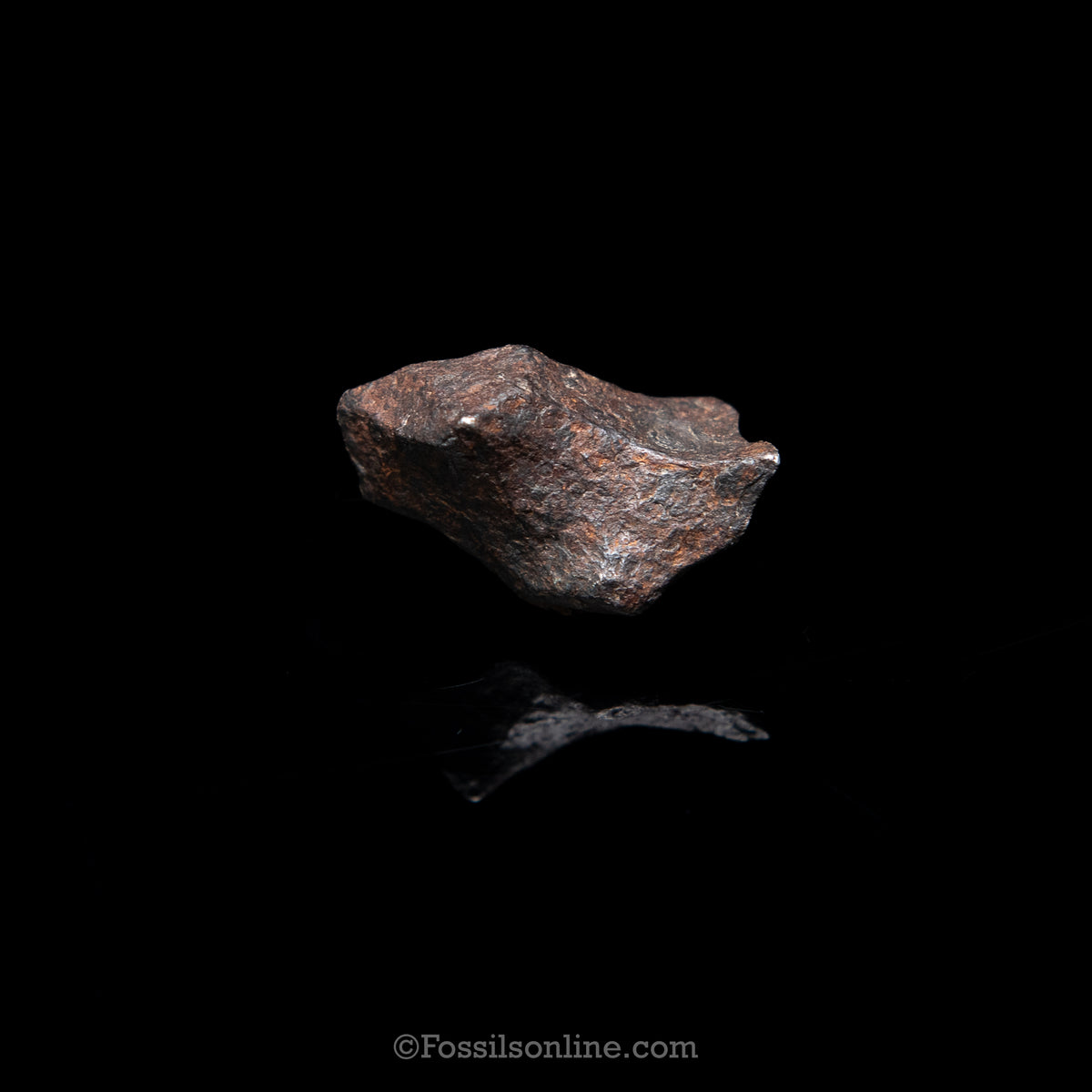 Genuine Canyon Diablo Meteorite in Glass Dome