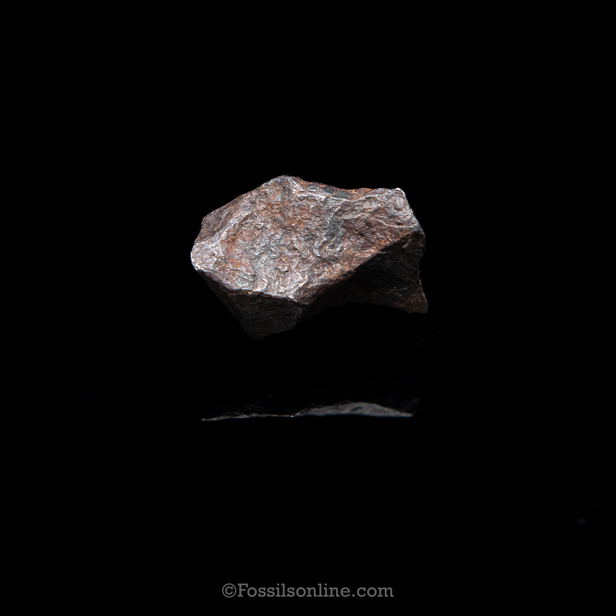 Genuine Canyon Diablo Meteorite in Glass Dome