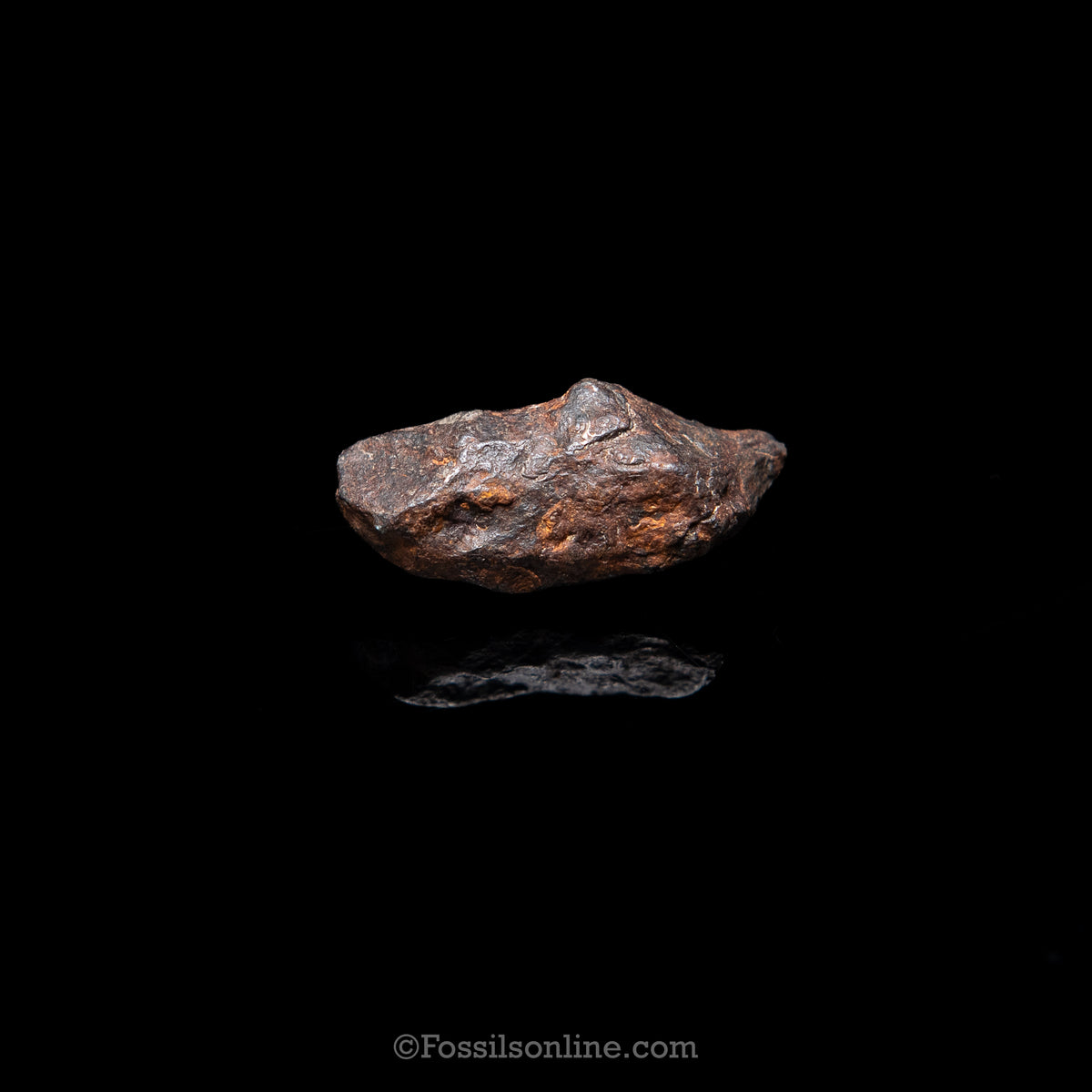 Genuine Canyon Diablo Meteorite in Glass Dome