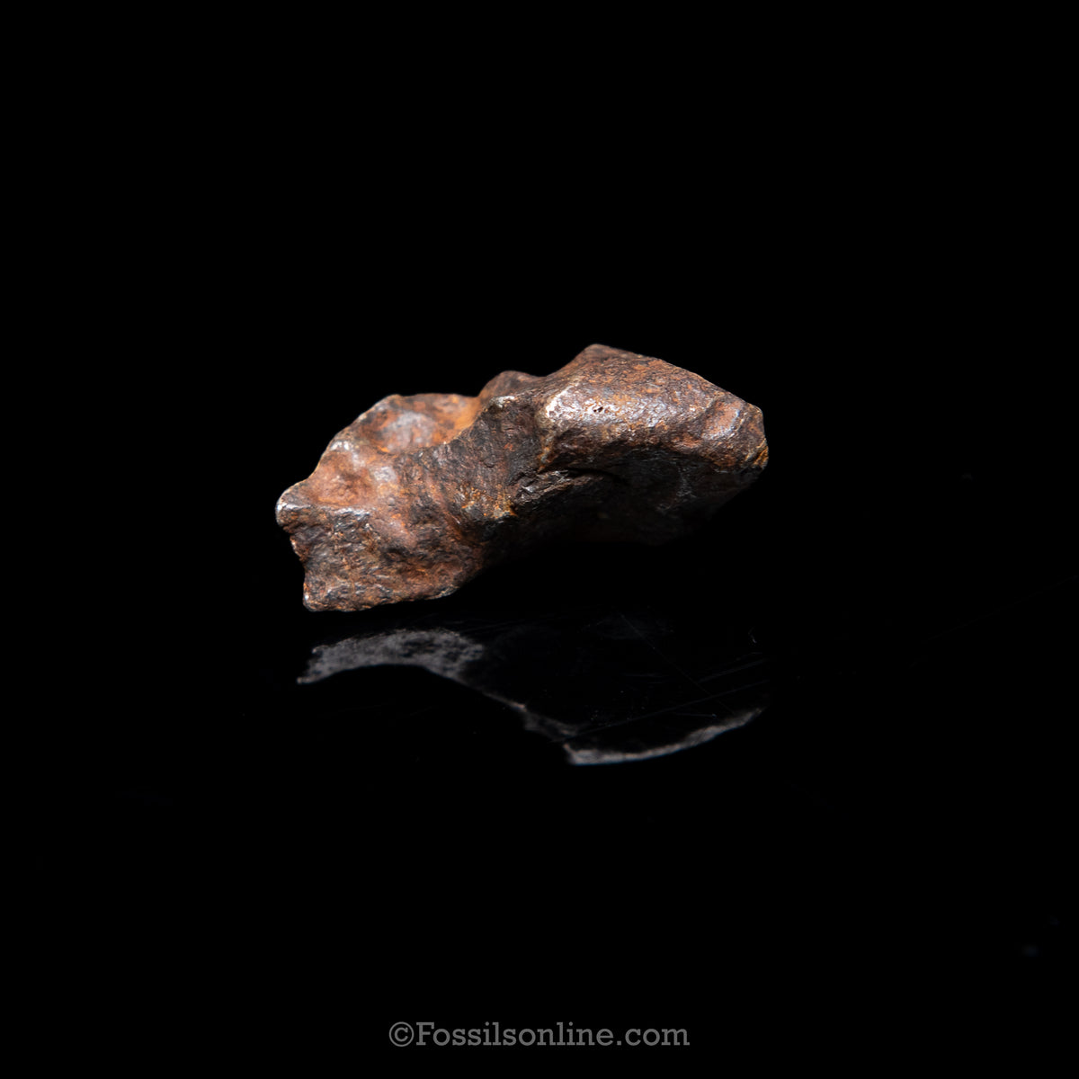 Genuine Agoudal Meteorite in Glass Dome