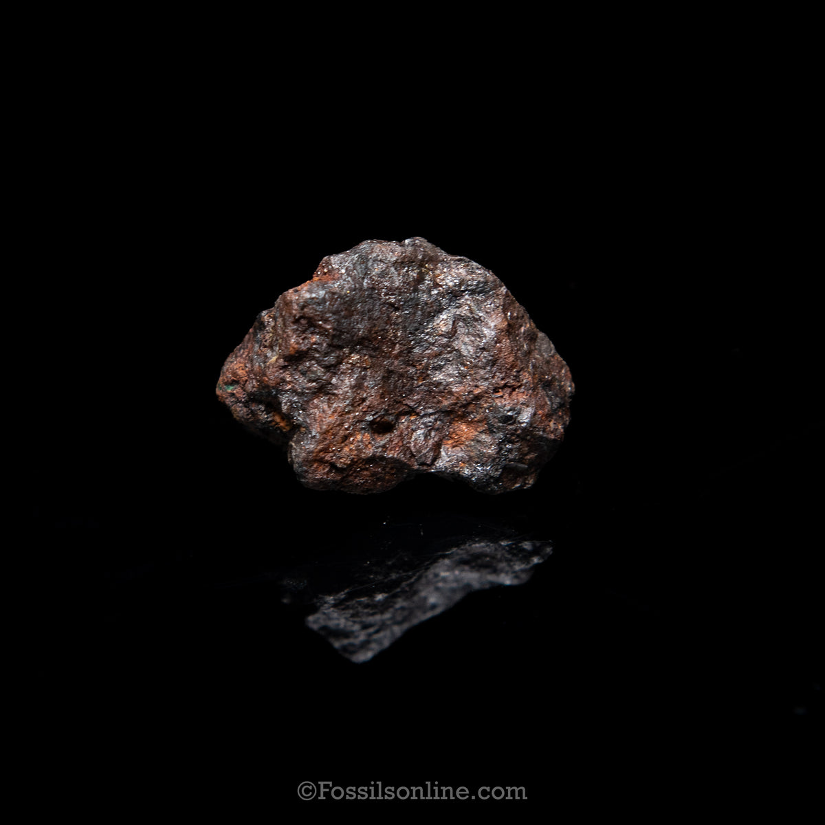 Genuine Sericho Meteorite in Glass Dome
