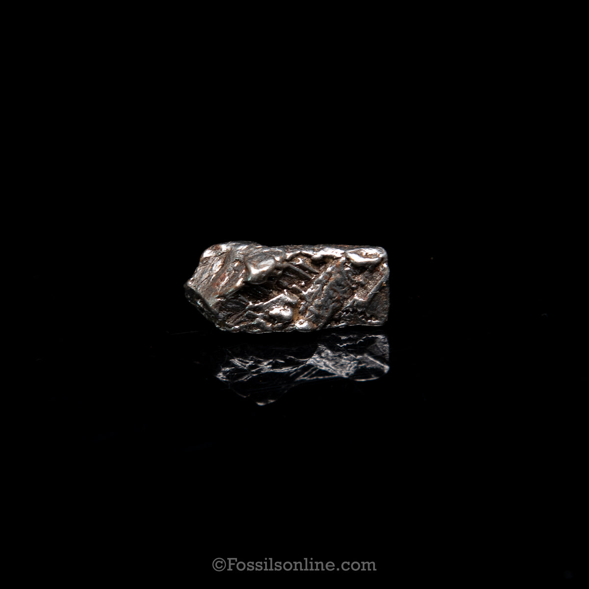 GENUINE Aletai Meteorite in a glass dome