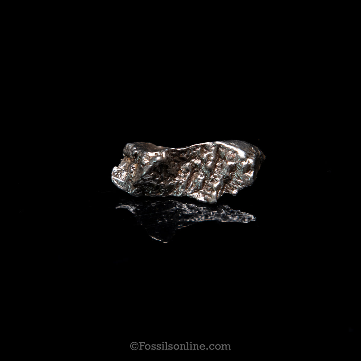 GENUINE Aletai Meteorite in a glass dome