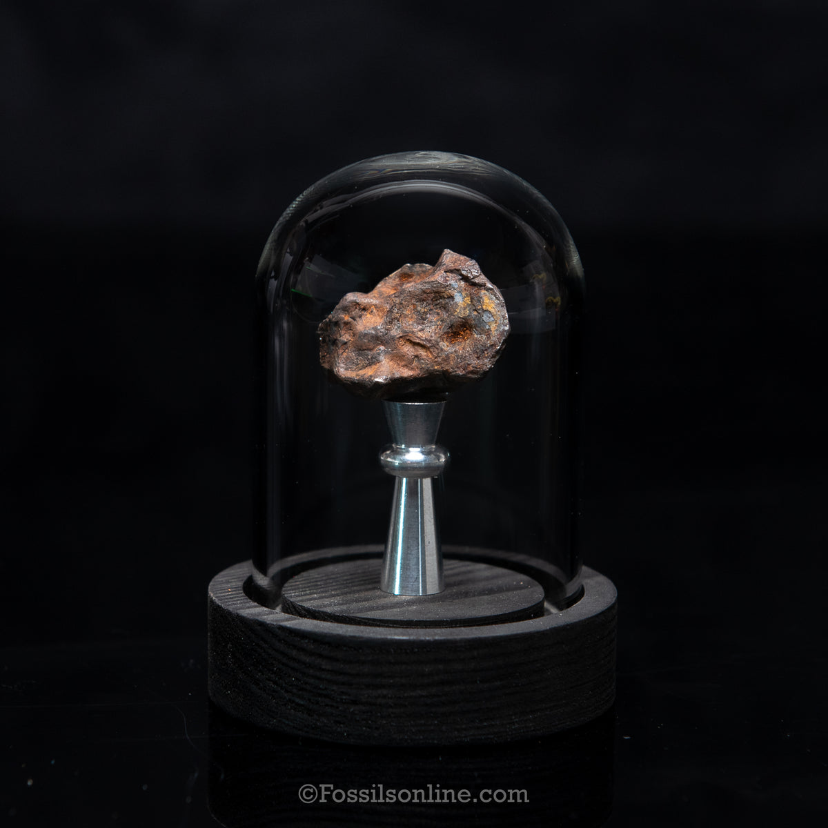Genuine Agoudal Meteorite in Glass Dome