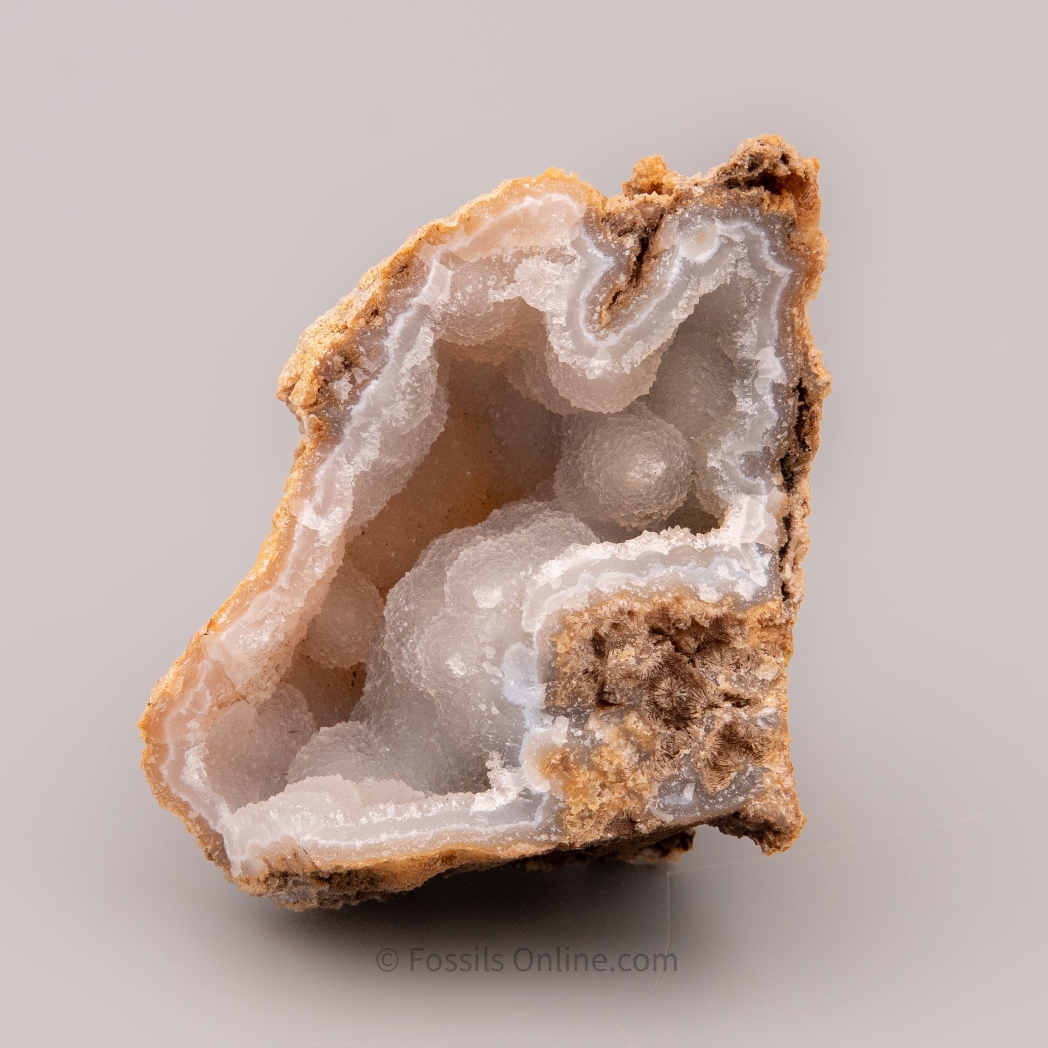 Agatized Druzy Coral