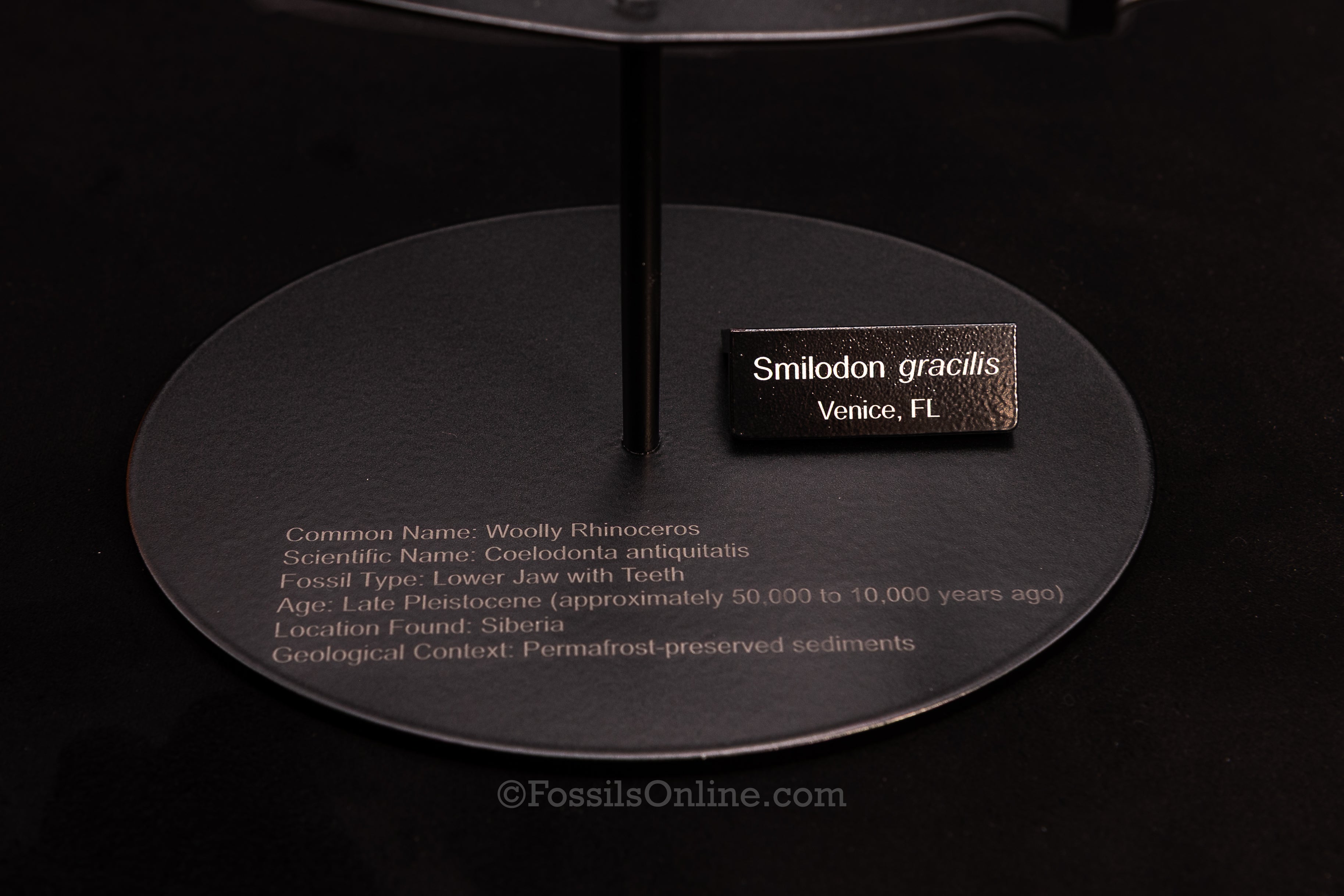 Double Cross - Universal Display Stand