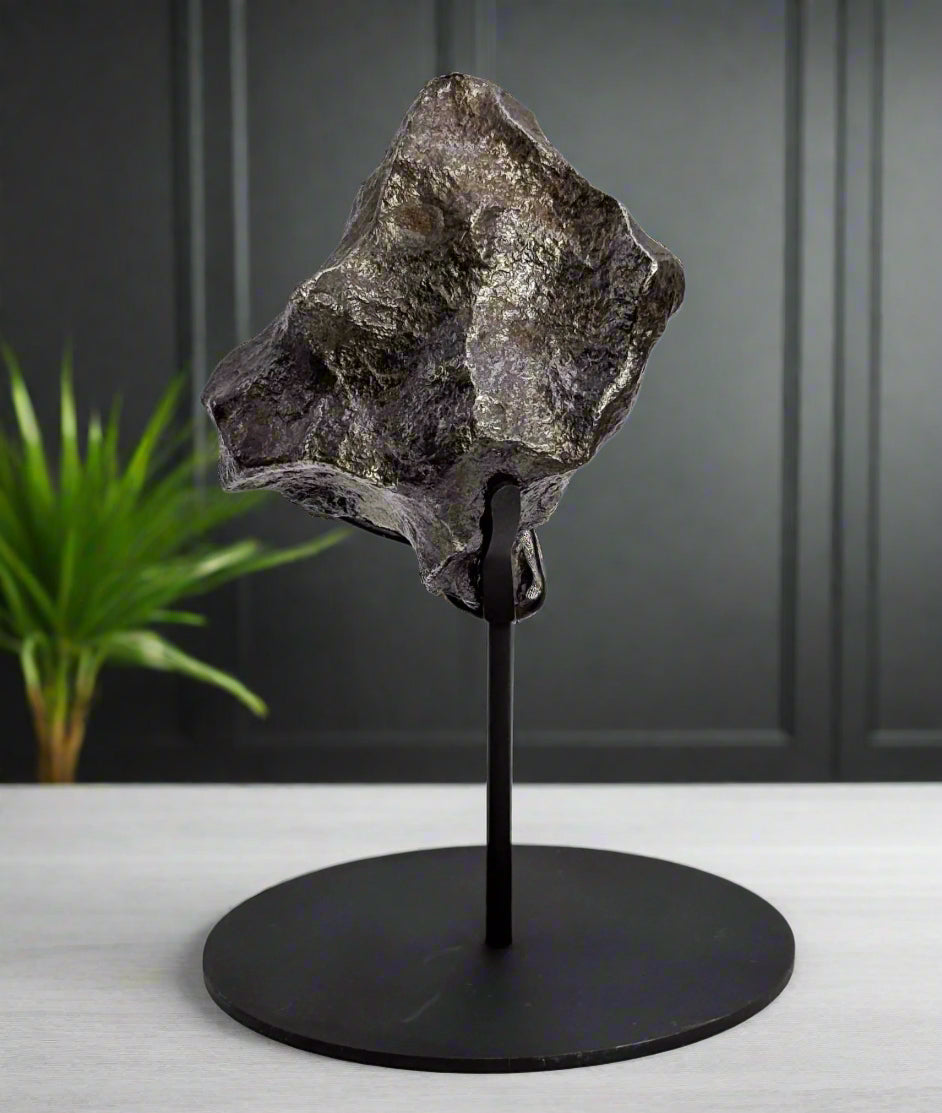 Cross Stand - Universal Display Stand