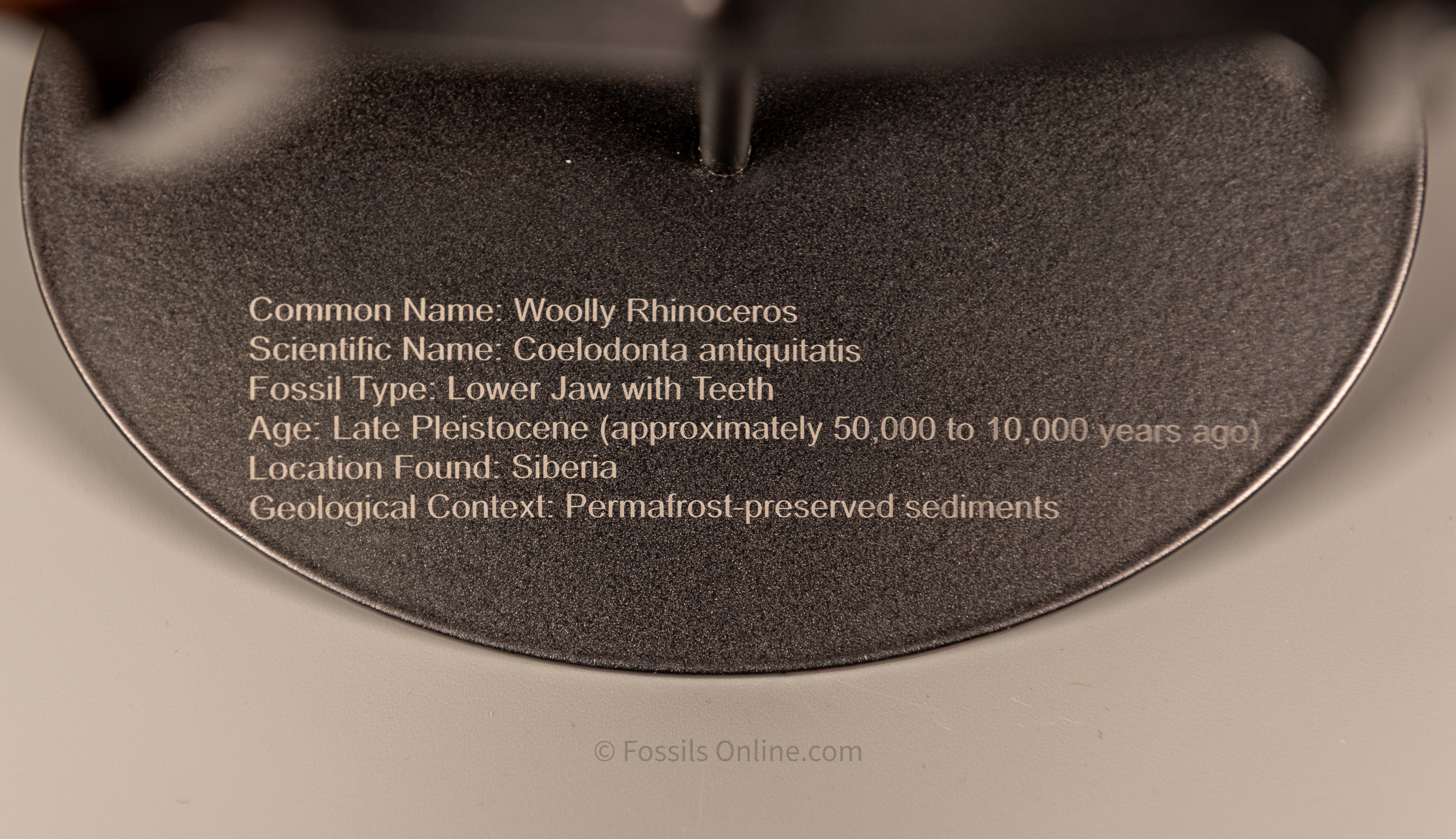 Laser Engraving Personalization Add-On $5. ONLY FOR METAL DISPLAY STANDS