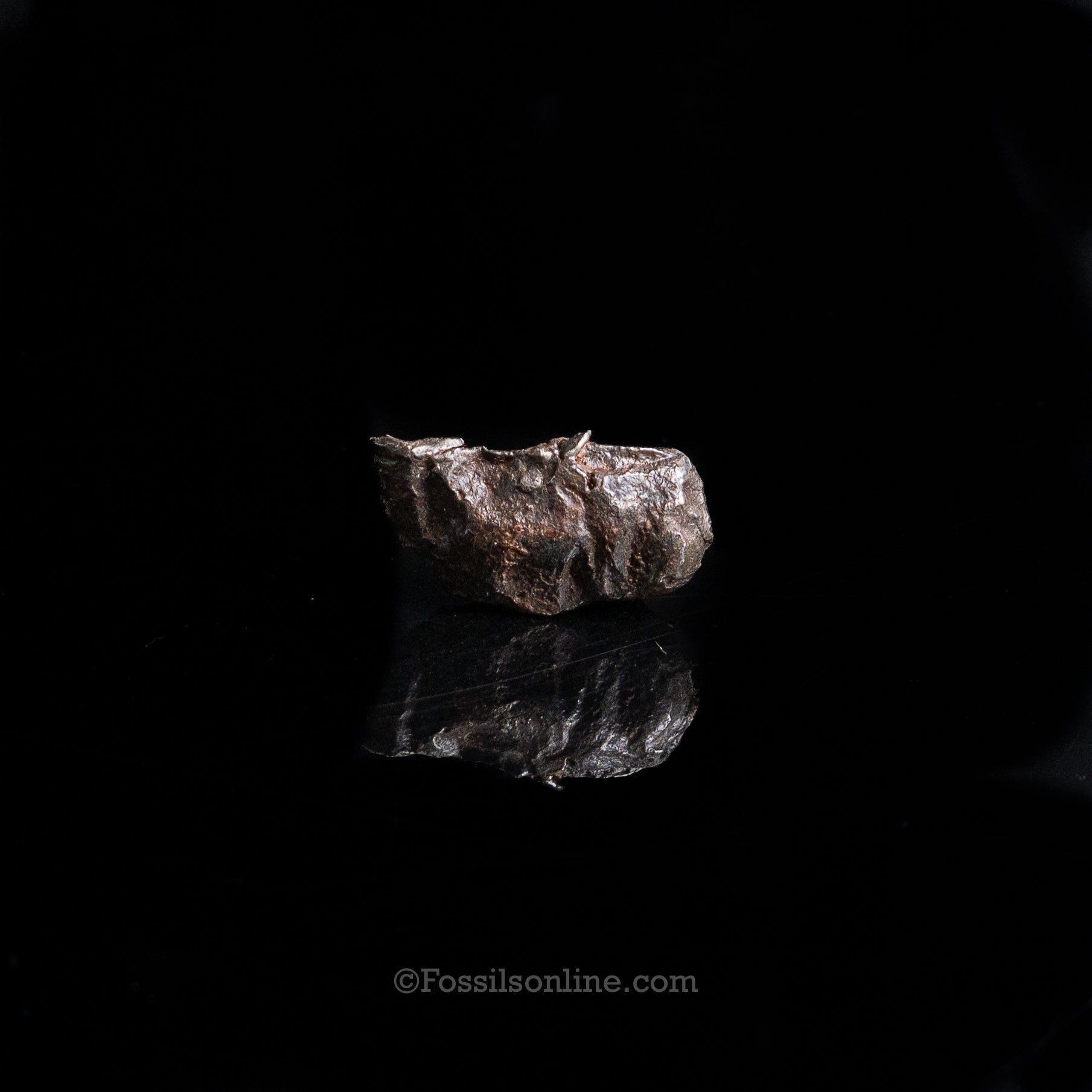Genuine Sikhote-Alin Meteorite in Glass Dome
