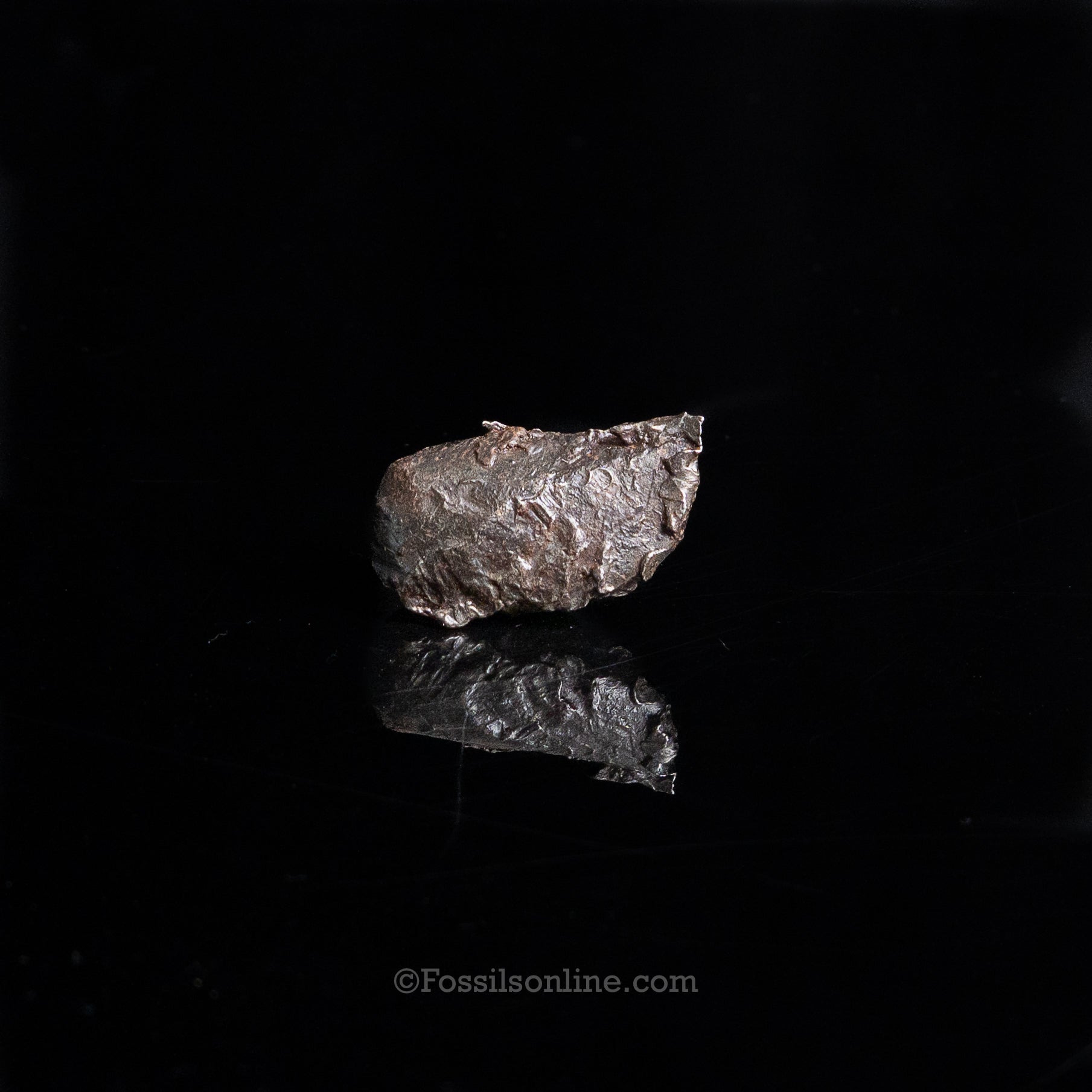 Genuine Sikhote-Alin Meteorite in Glass Dome