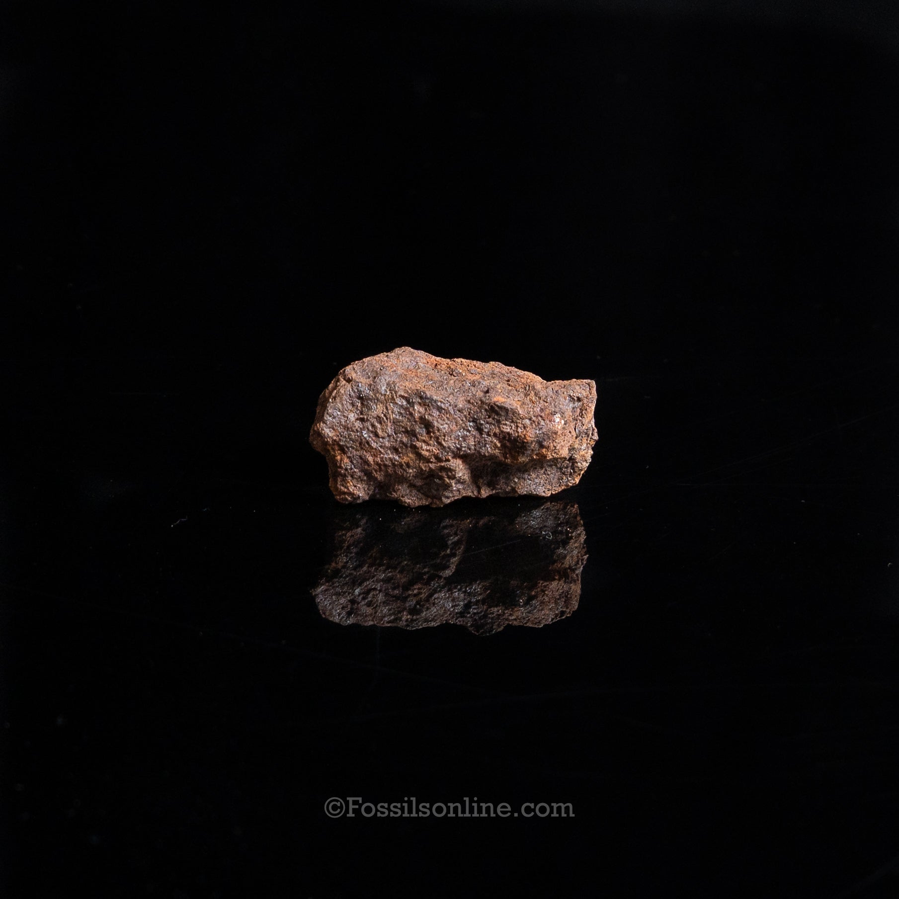 Genuine Vaca Muerta Meteorite in Glass Dome