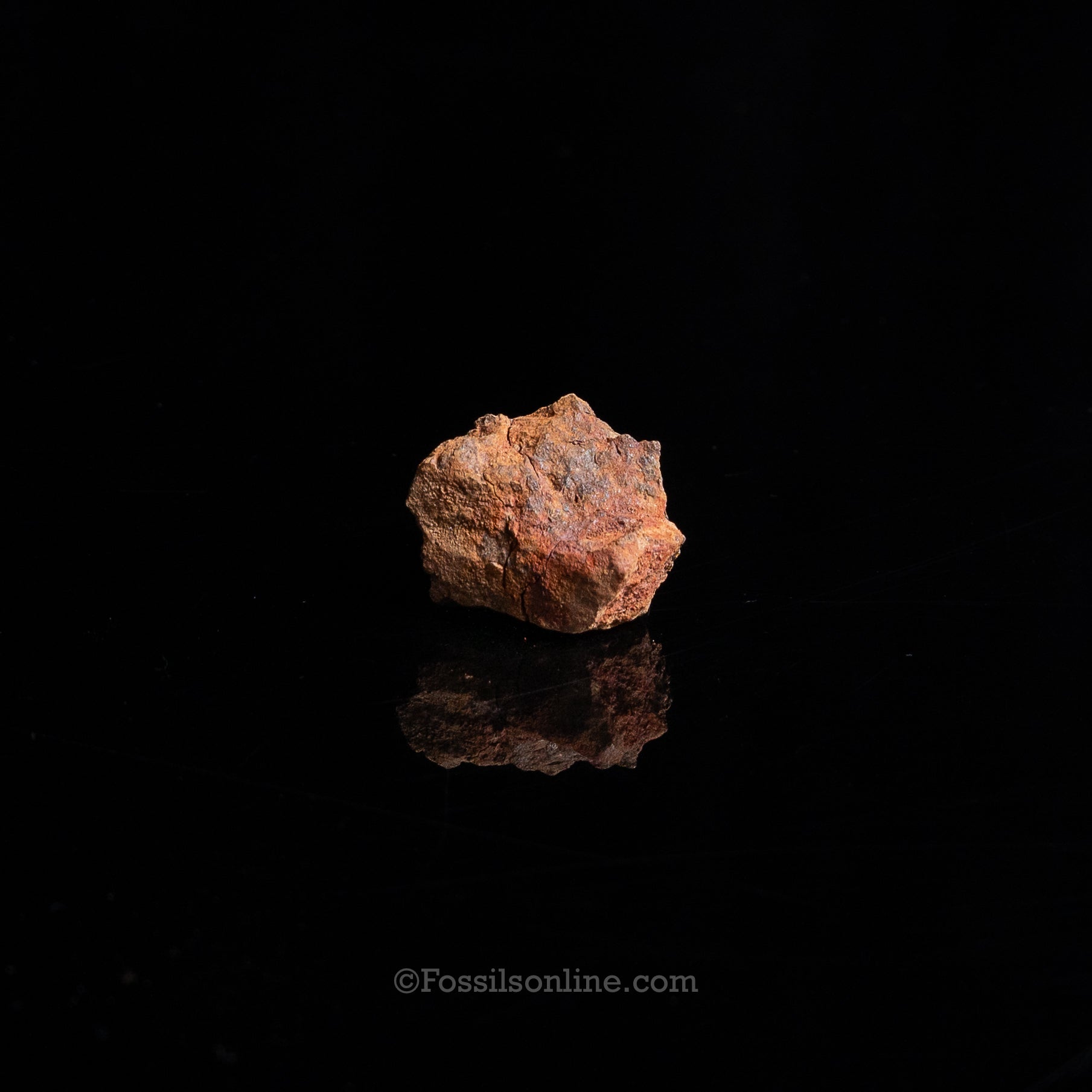 Genuine Vaca Muerta Meteorite in Glass Dome