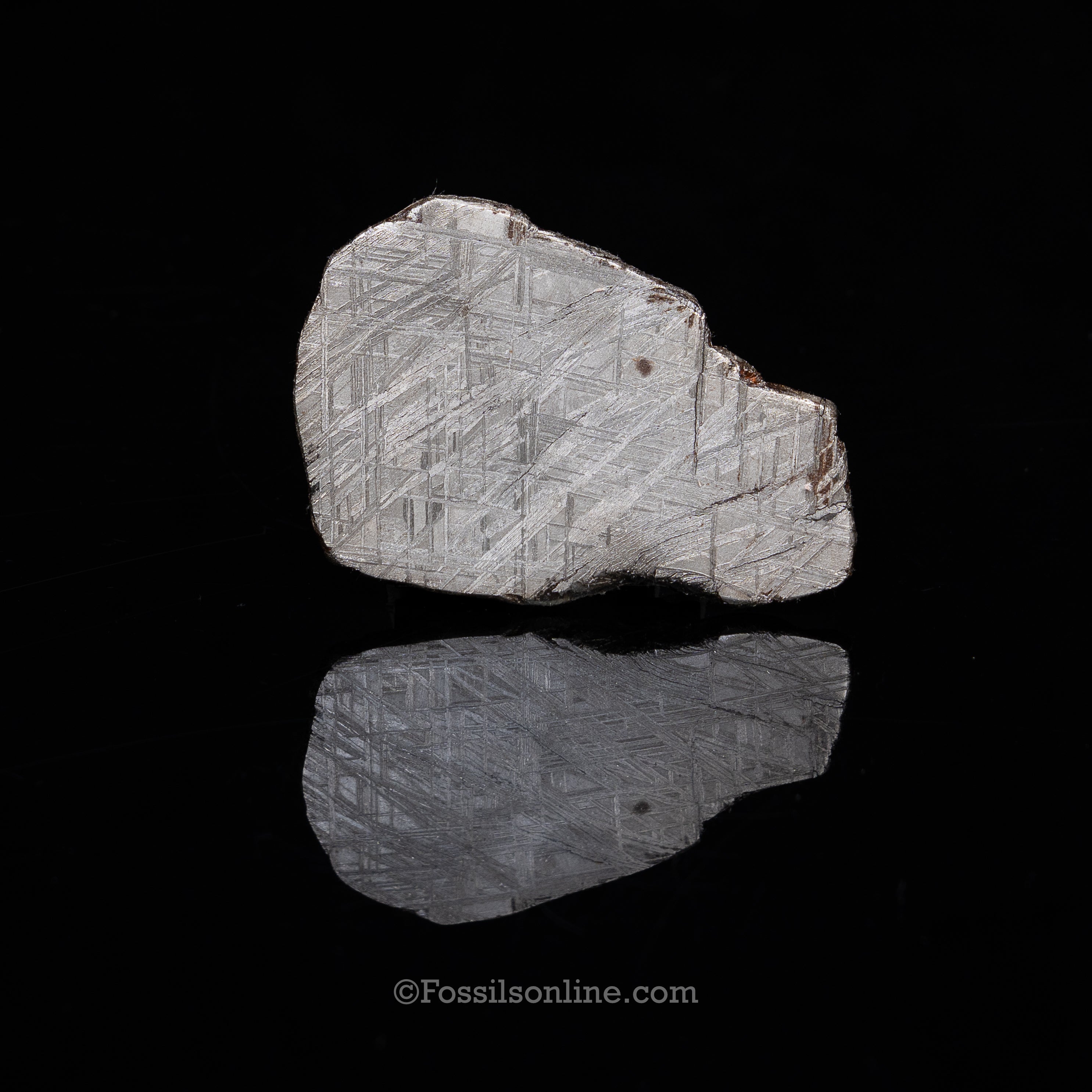 Muonionalusta Meteorite Slice 101gr